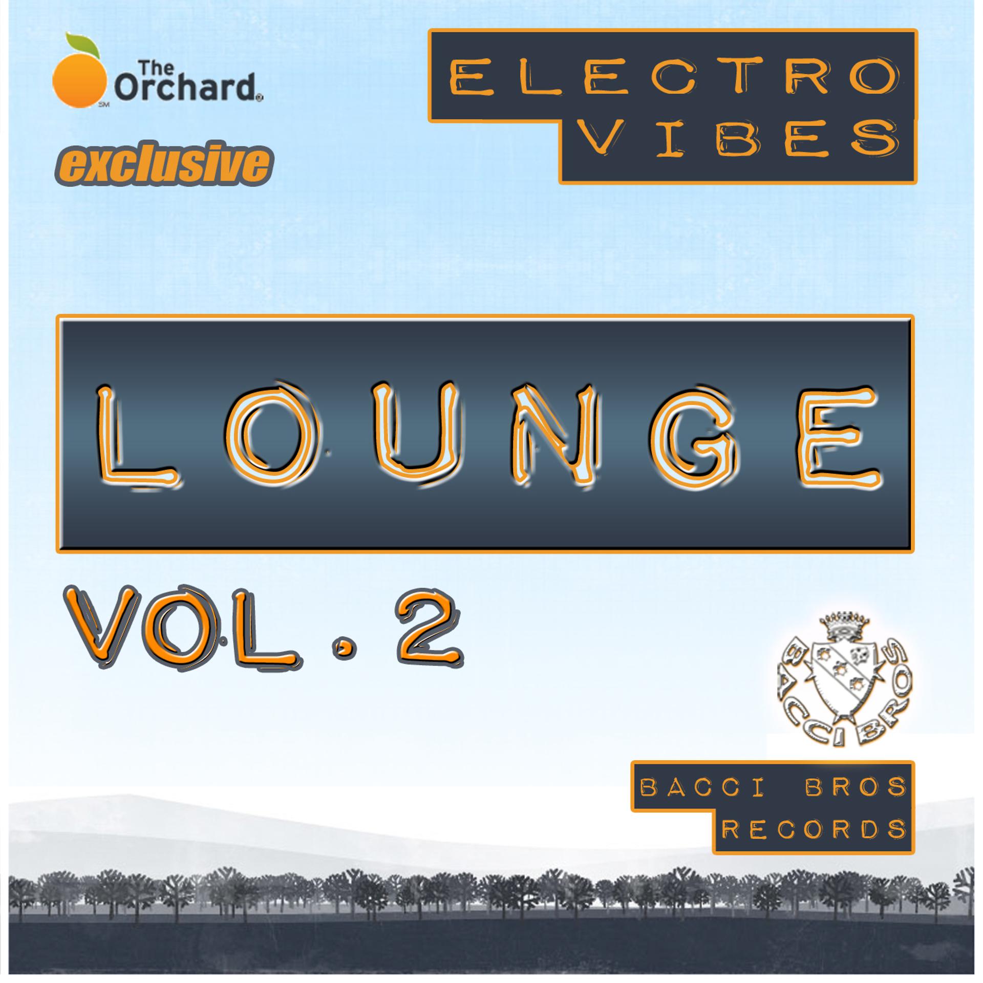 Постер альбома Electro Vibes Lounge Vol. 2