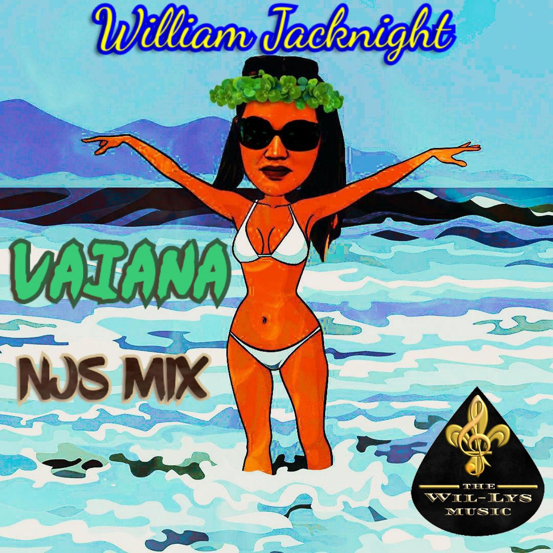 Постер альбома Vaiana (NJS Mix)