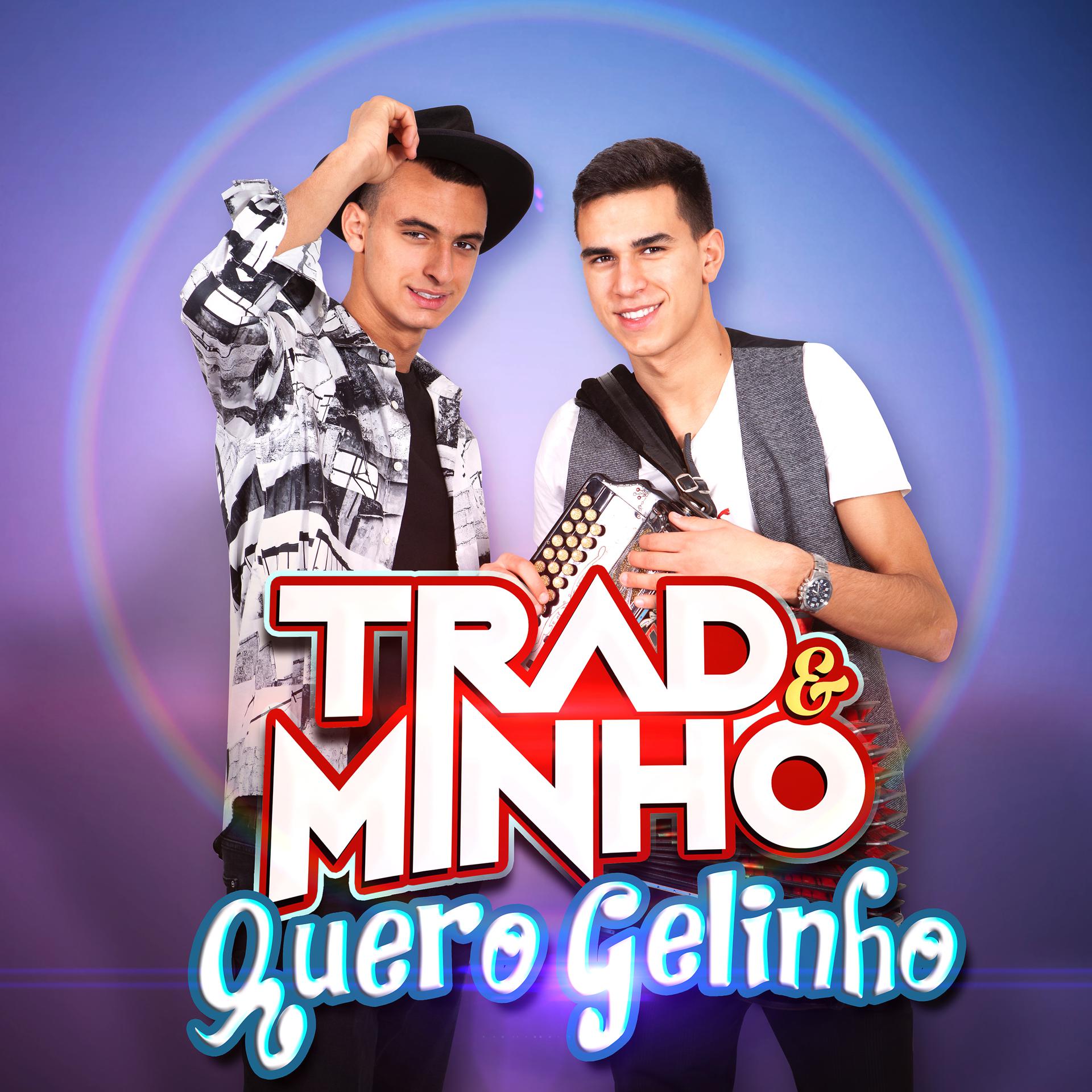 Постер альбома Quero Gelinho