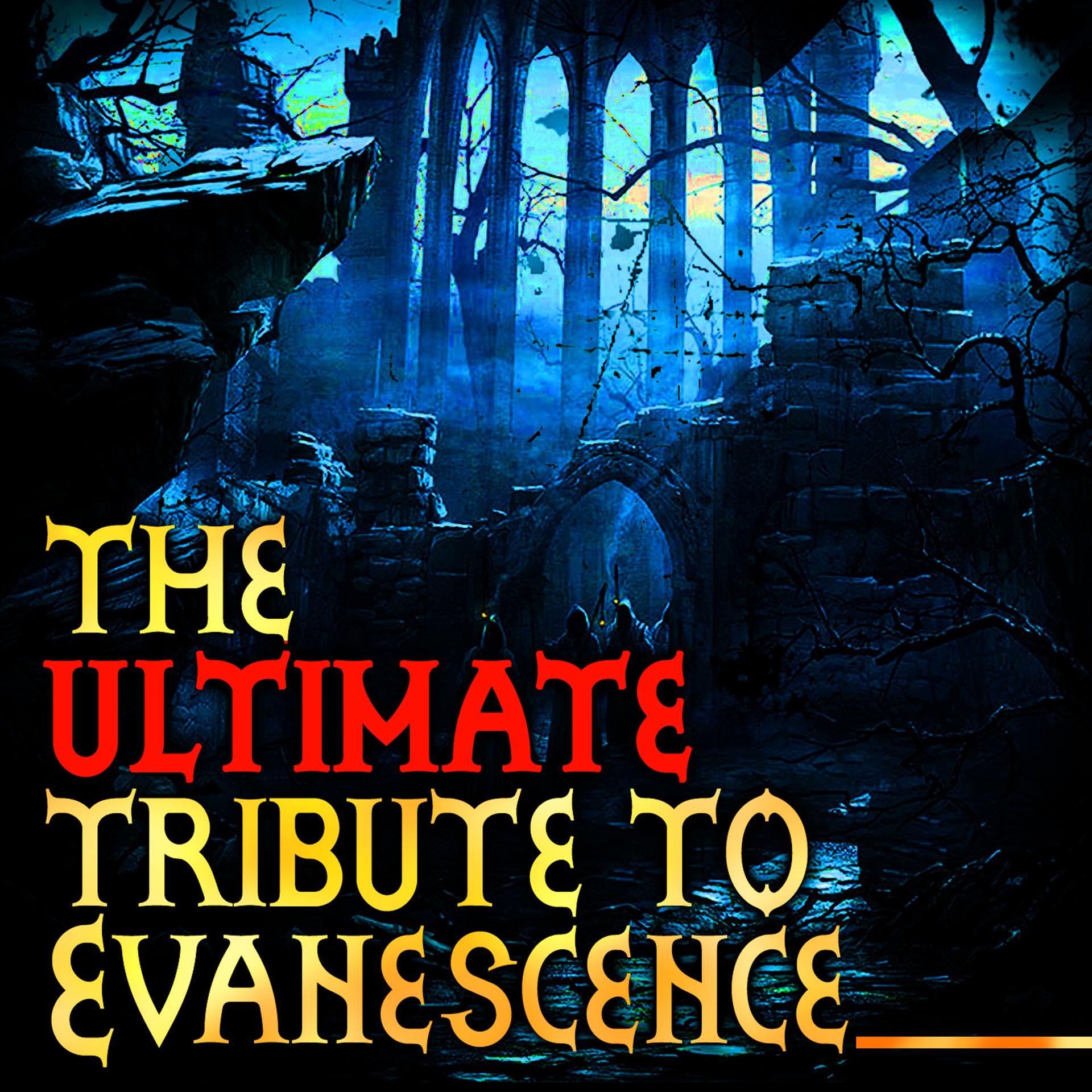 Постер альбома The Ultimate Tribute To Evanescence