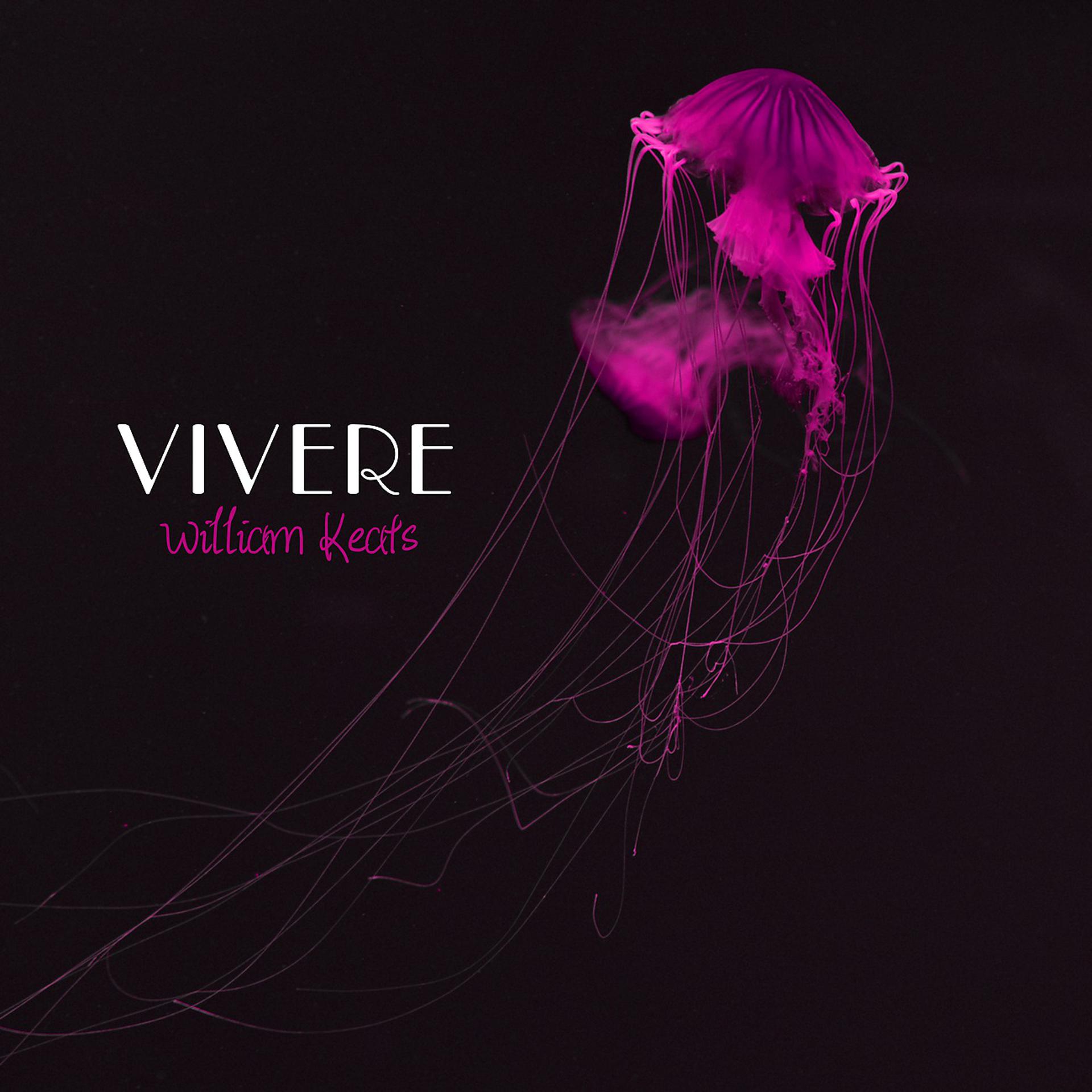 Постер альбома Vivere