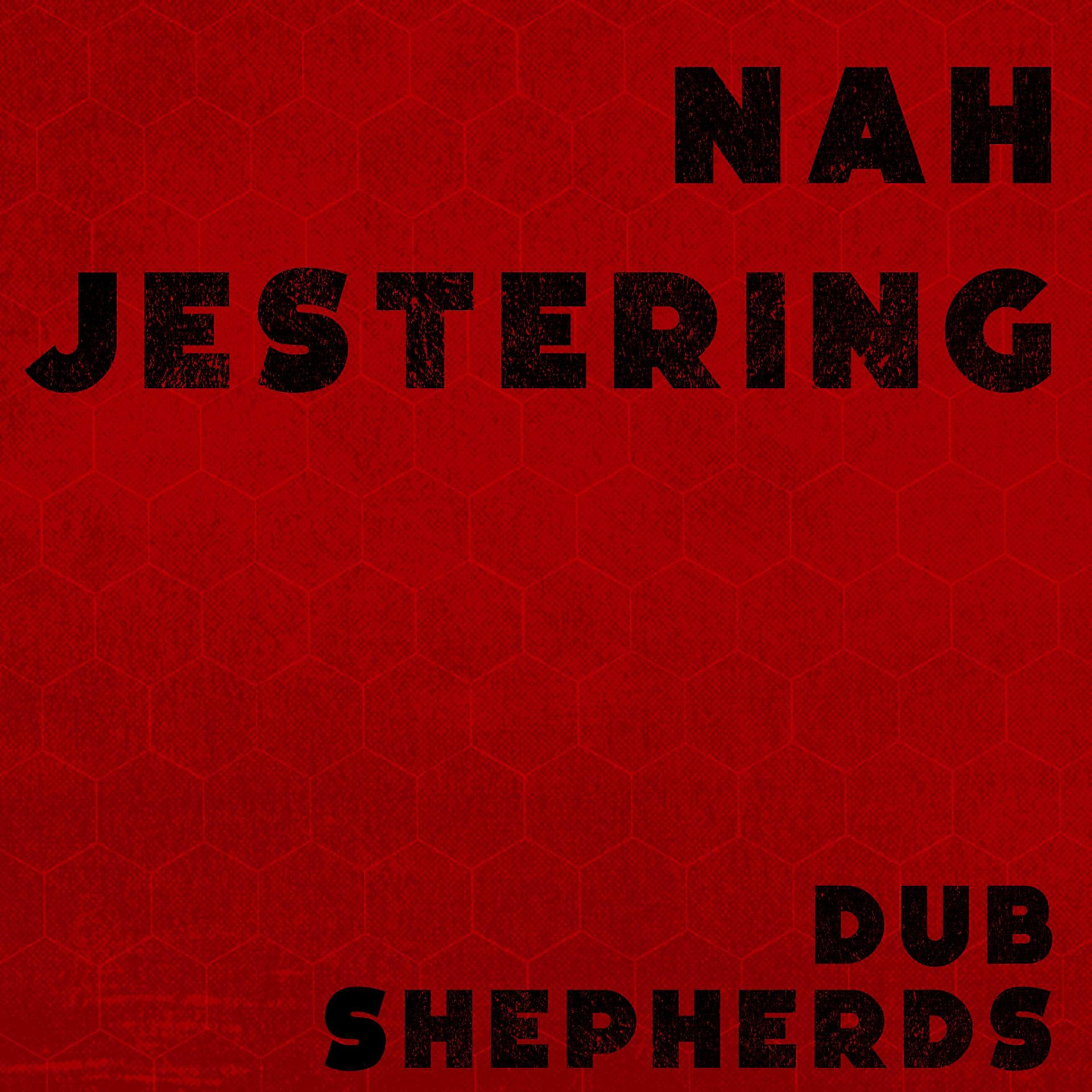 Постер альбома Nah Jestering