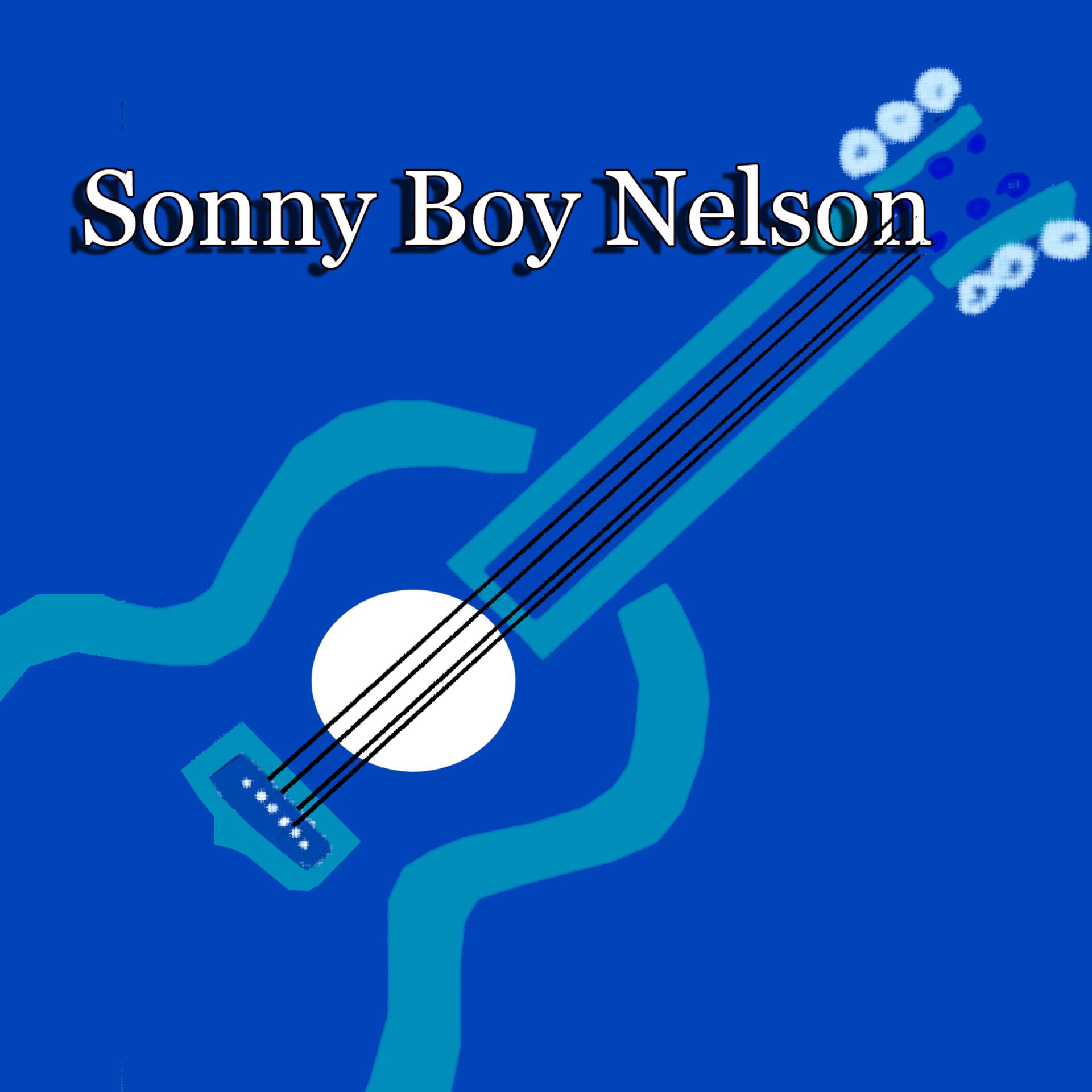 Постер альбома Sonny Boy Nelson