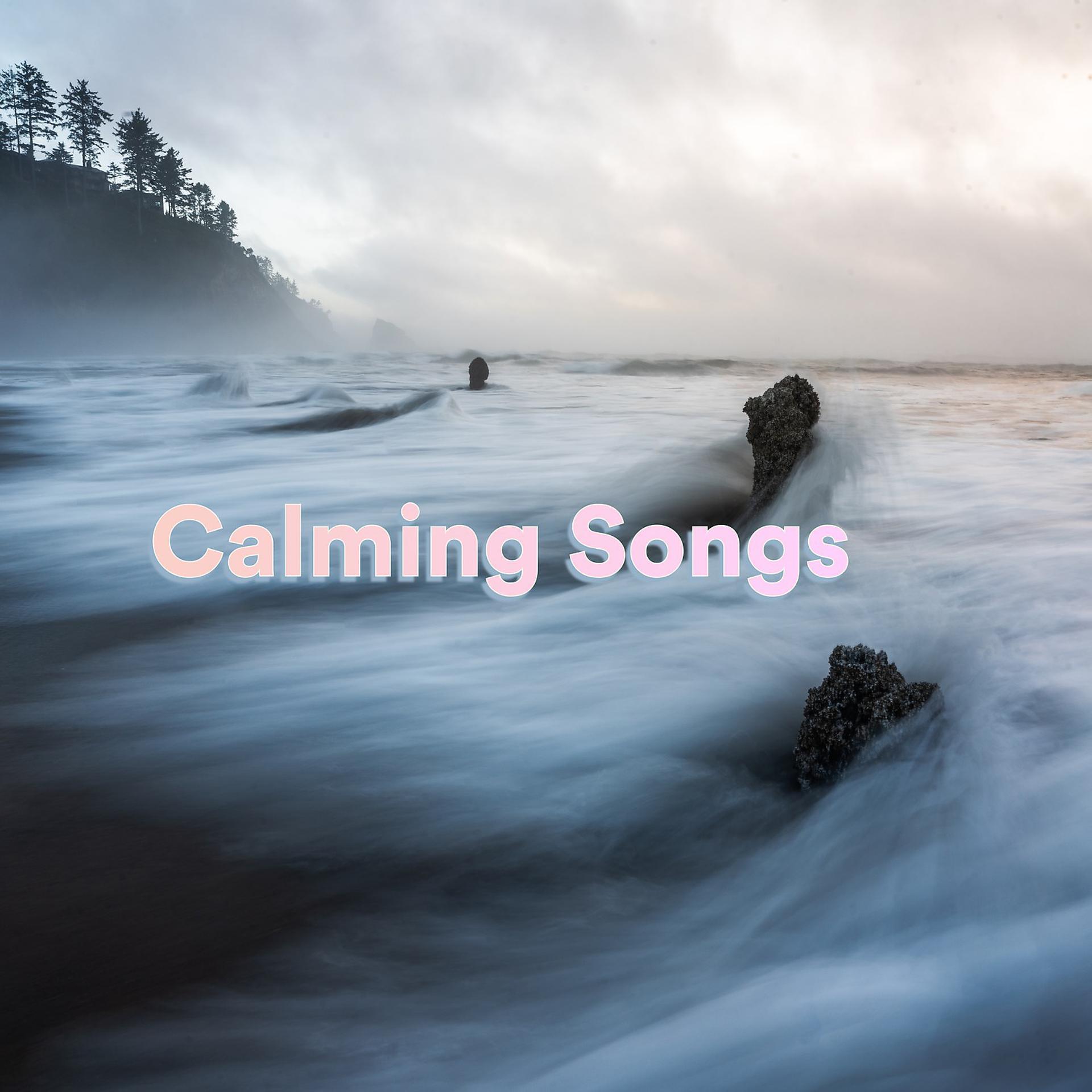 Постер альбома Calming Songs