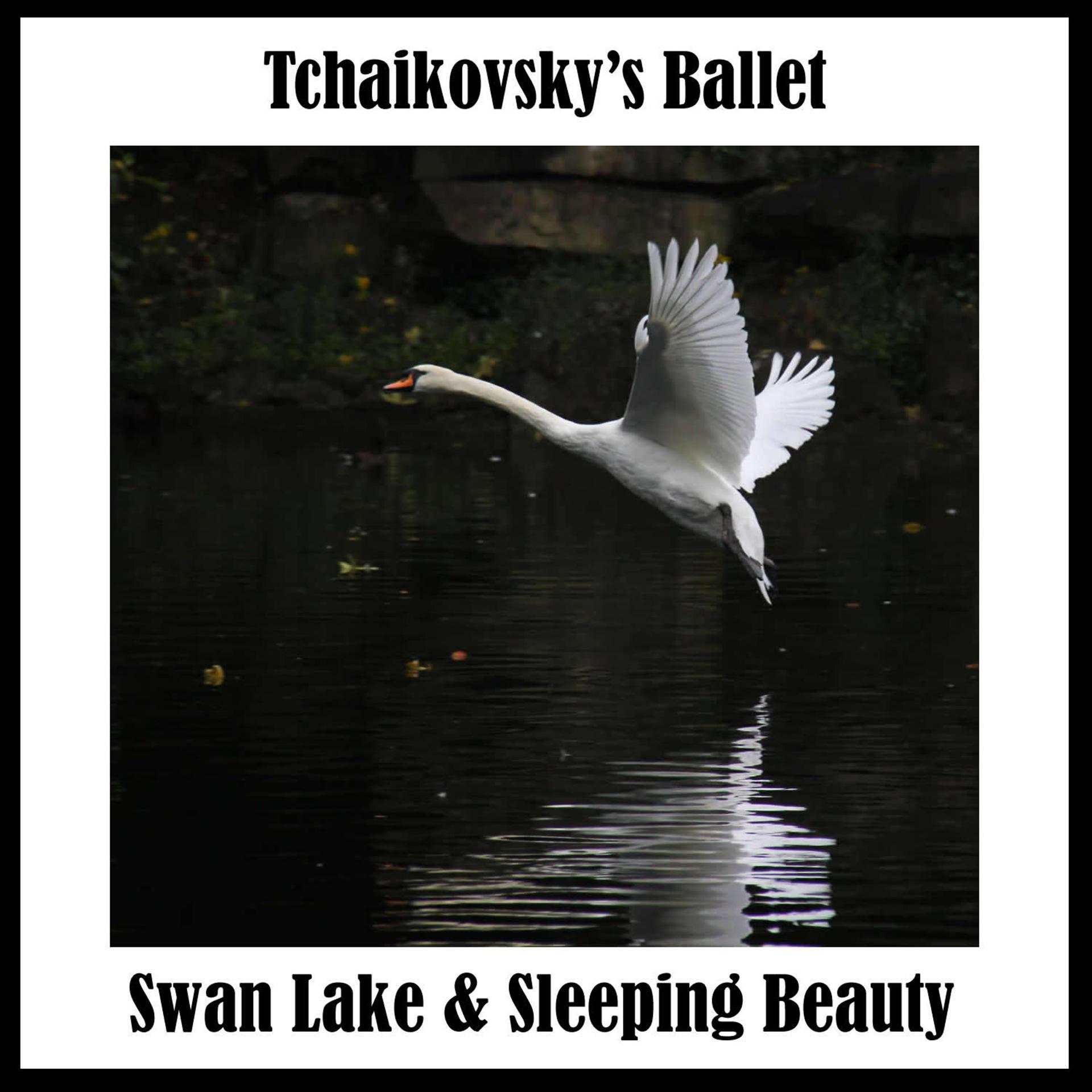 Постер альбома Tchaikovsky's Ballet: Swan Lake & Sleeping Beauty