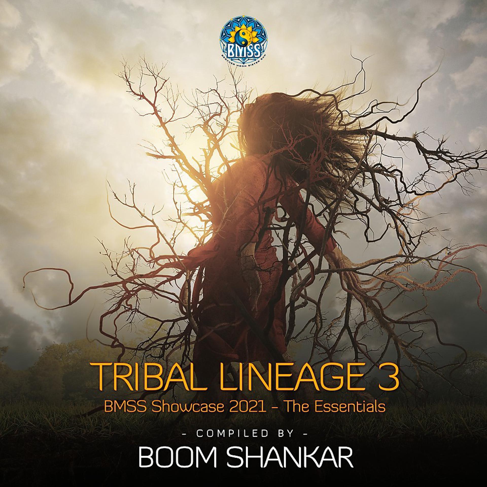 Постер альбома Tribal Lineage 3 (Compiled by Boom Shankar)
