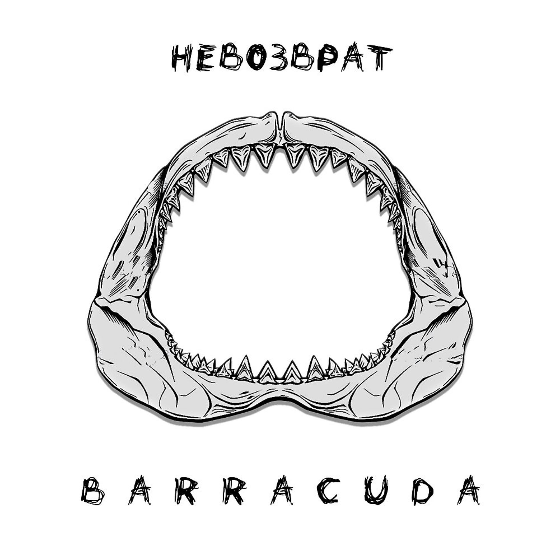 Постер альбома Barracuda