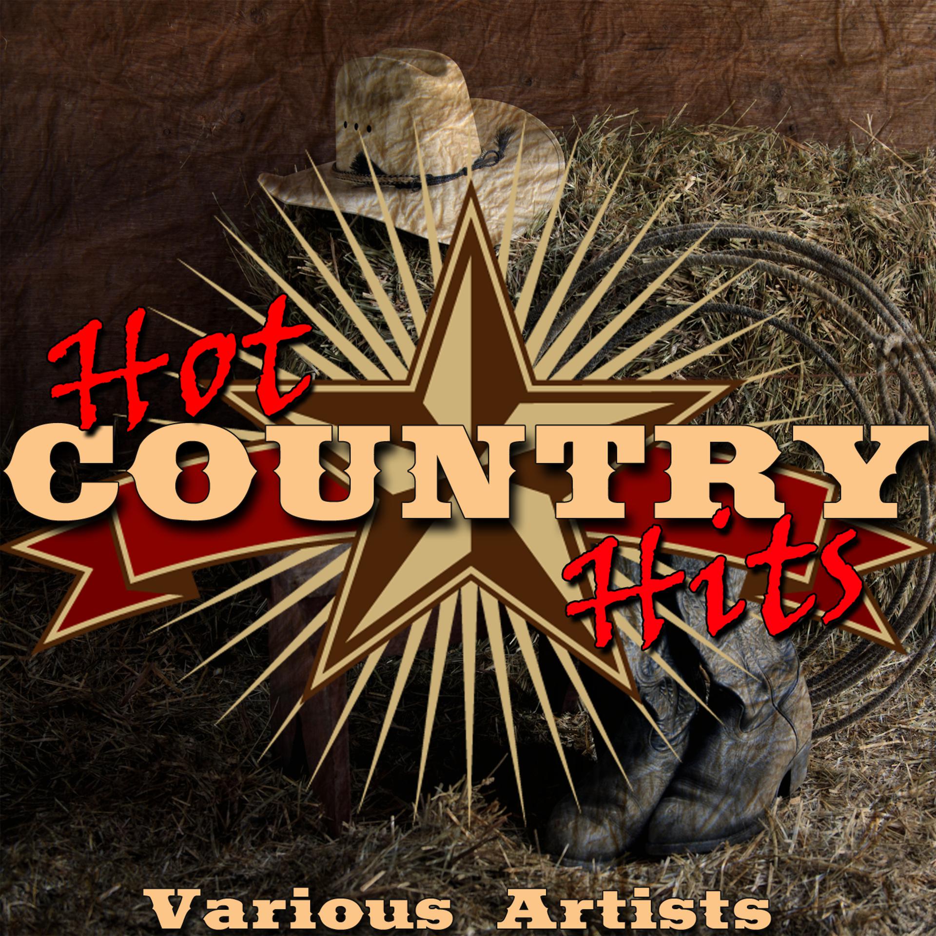 Постер альбома Hot Country Hits