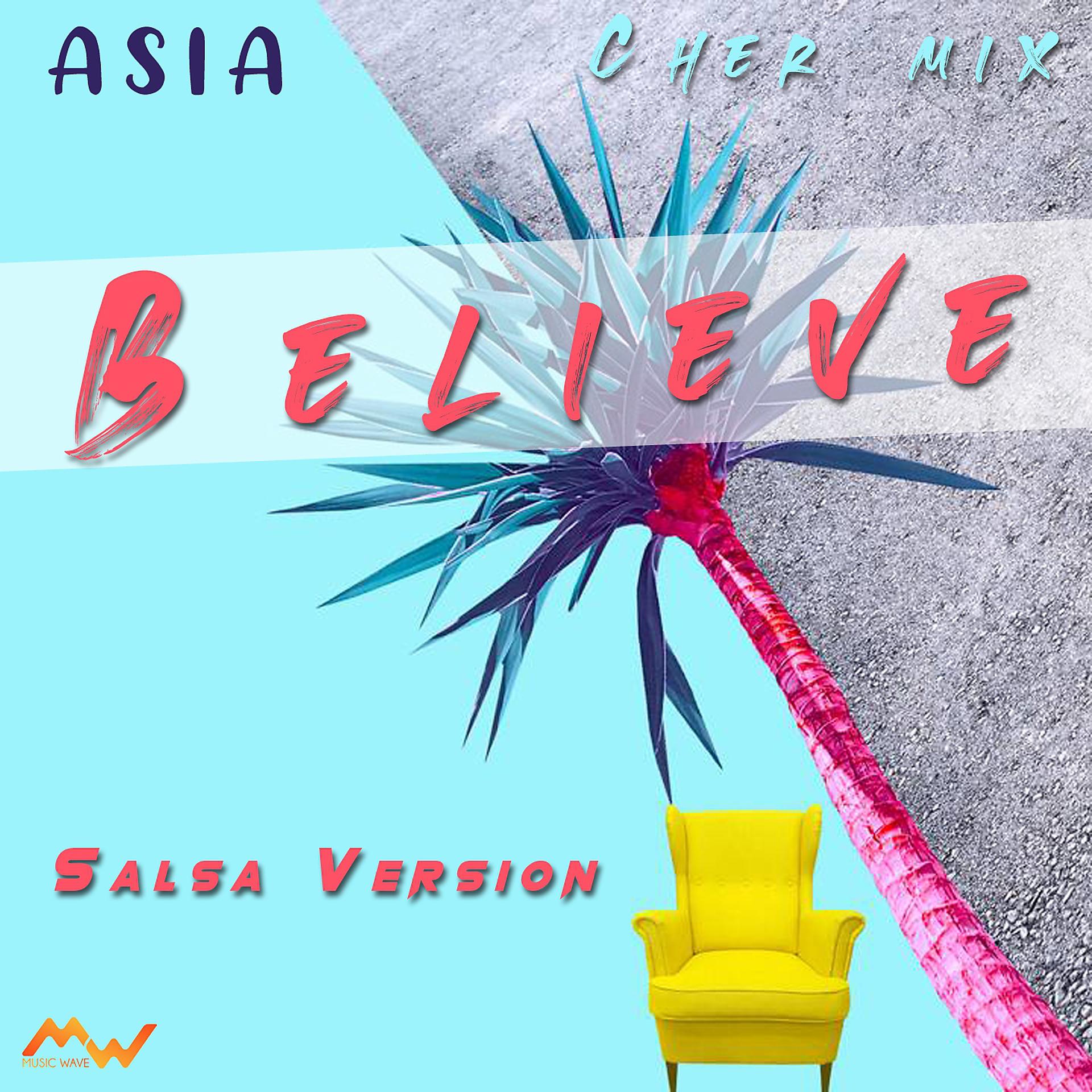 Постер альбома Believe / Cher Mix