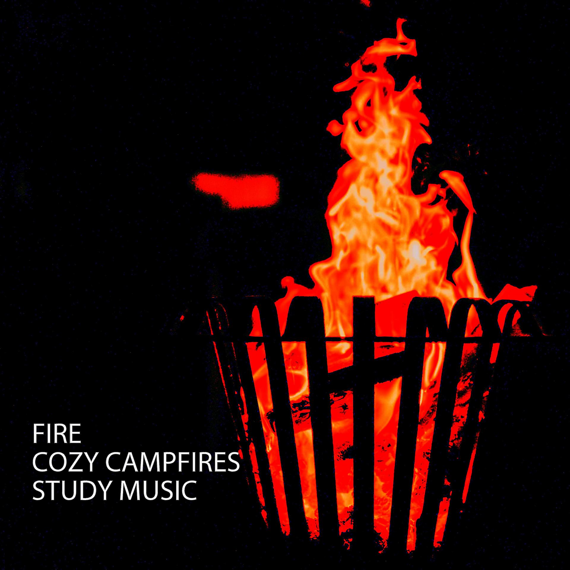 Постер альбома Fire: Cozy Campfires Study Music