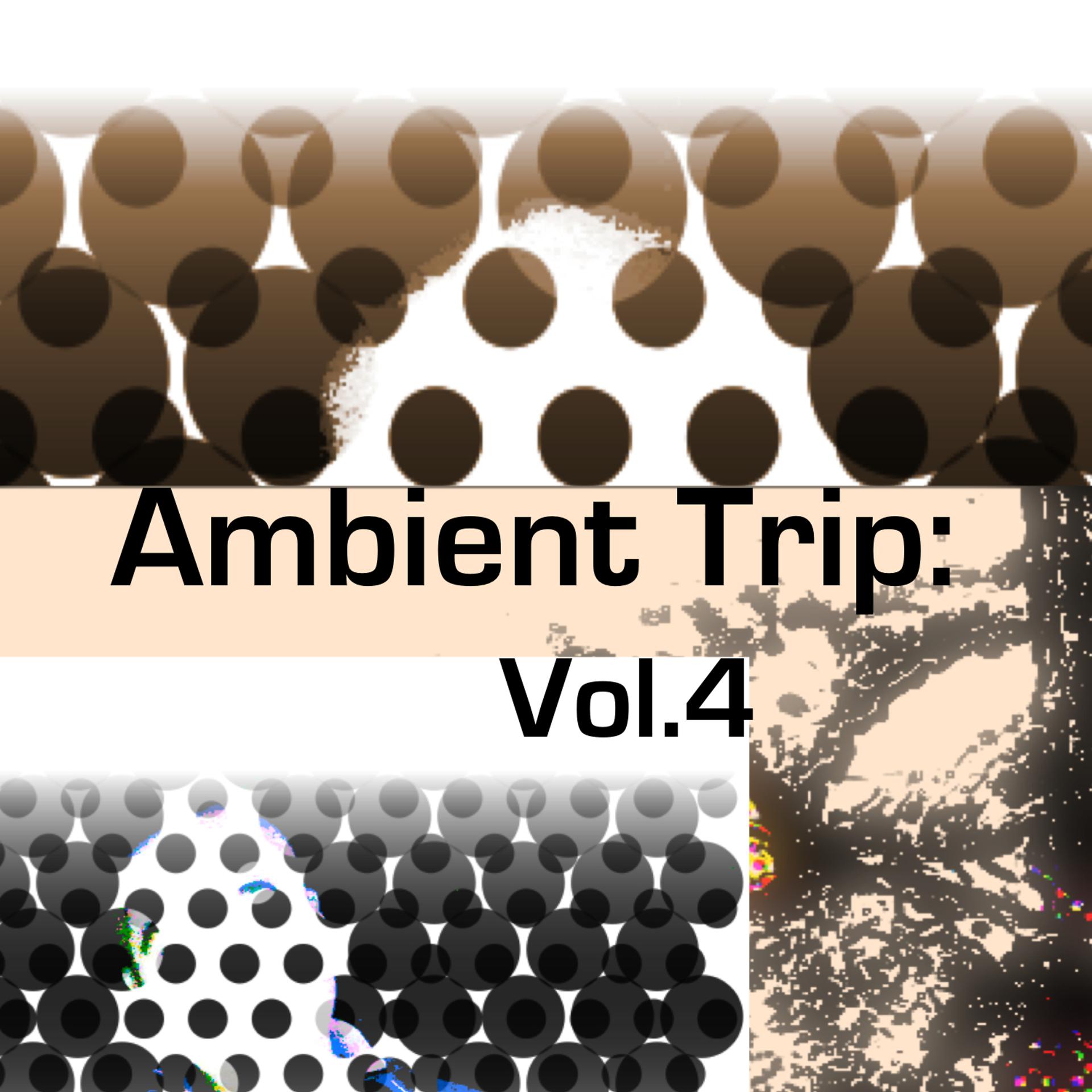 Постер альбома Ambient Trip: Vol.4
