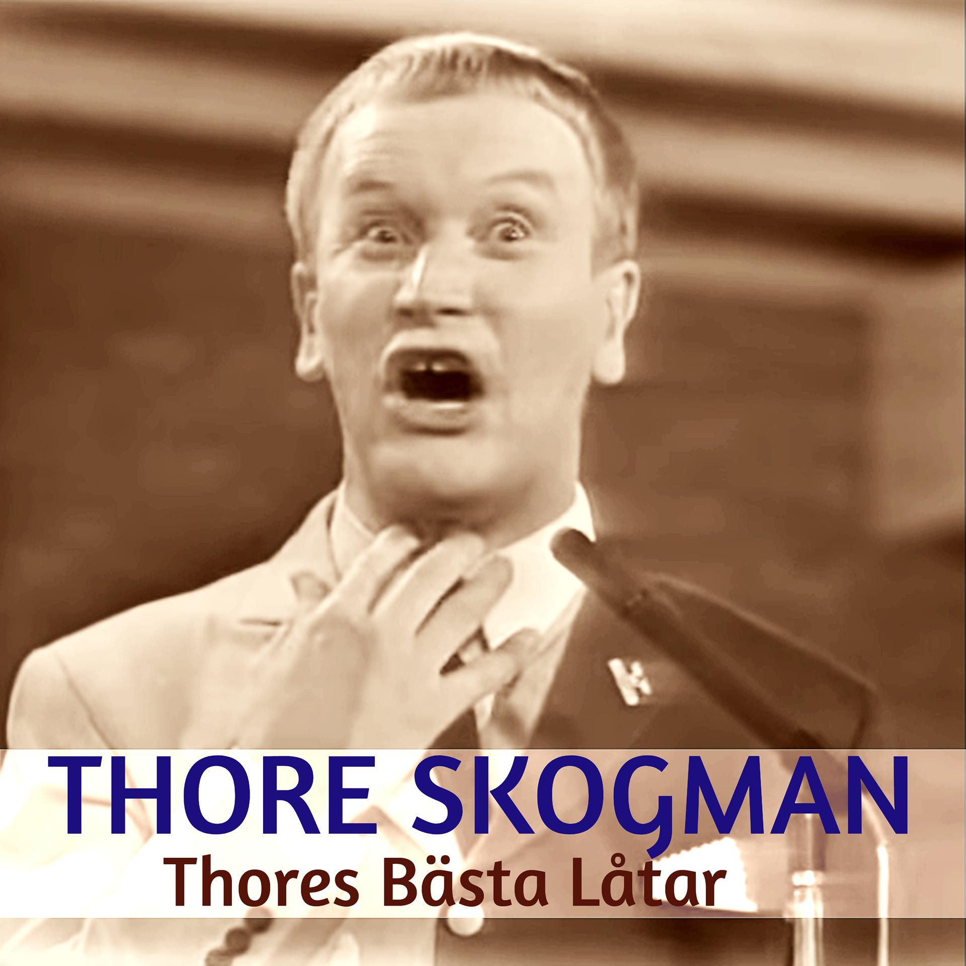 Постер альбома Thores Bästa Låtar