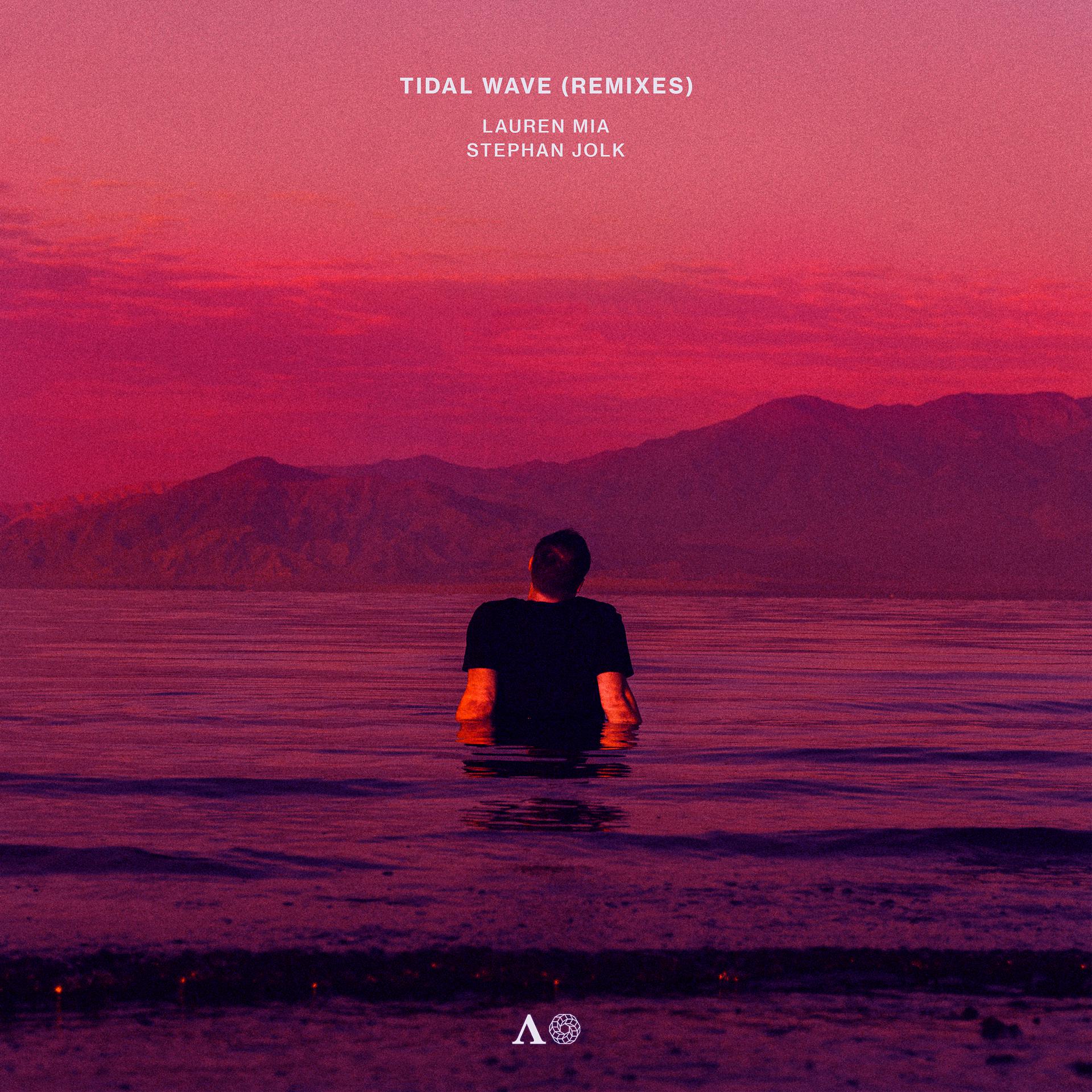 Постер альбома Tidal Wave (feat. Bien Et Toi) [Remixes]