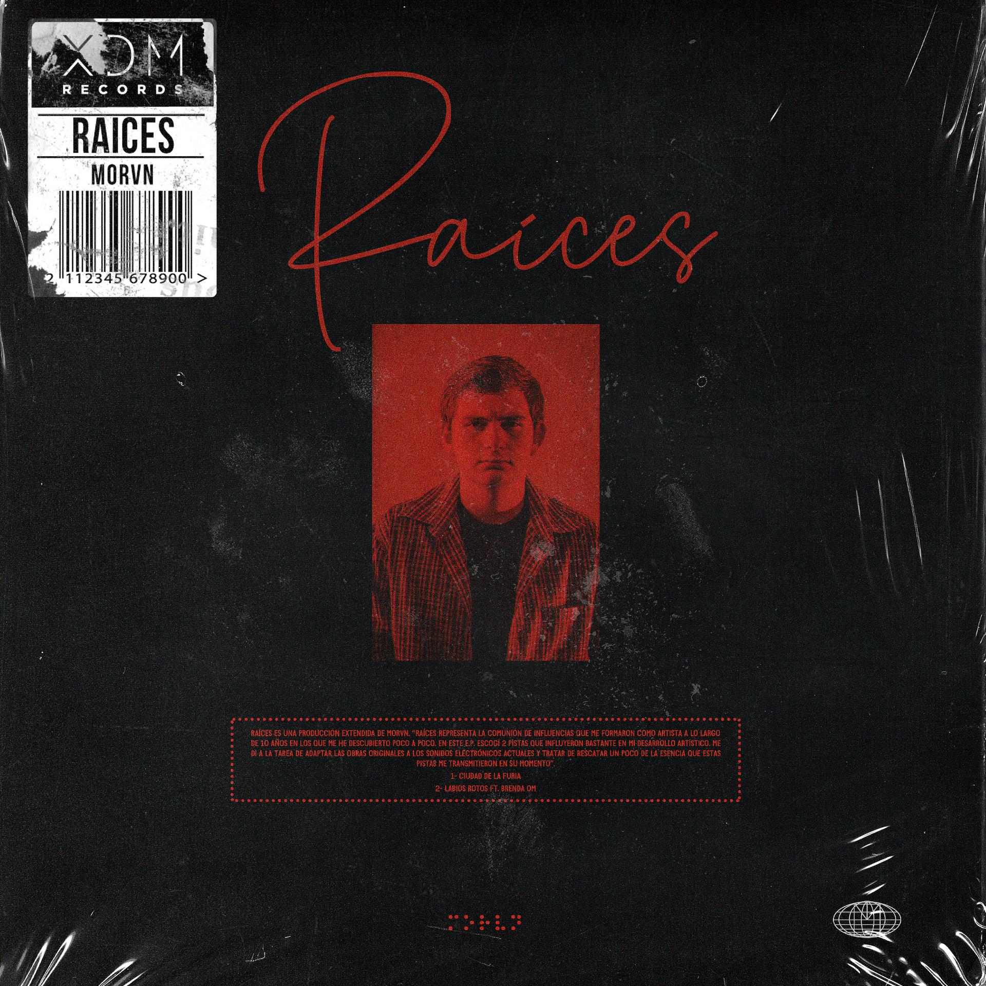 Постер альбома Raíces