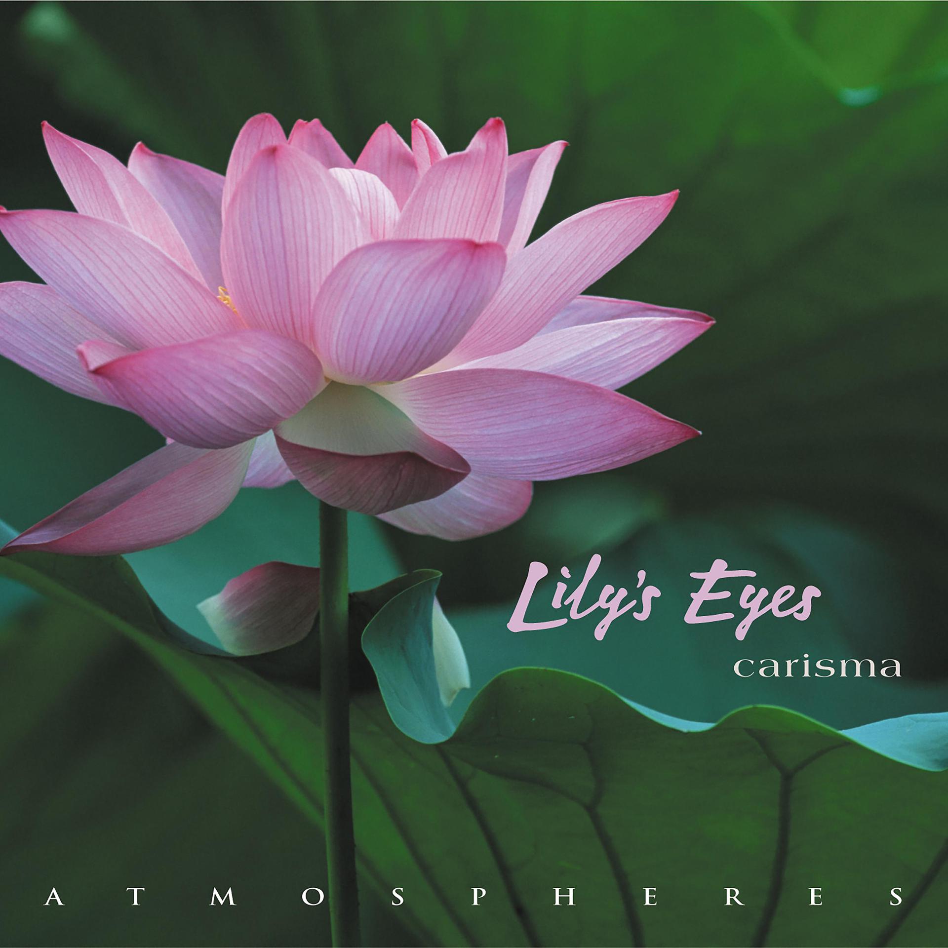 Постер альбома Lily's Eyes – Christmas Edition
