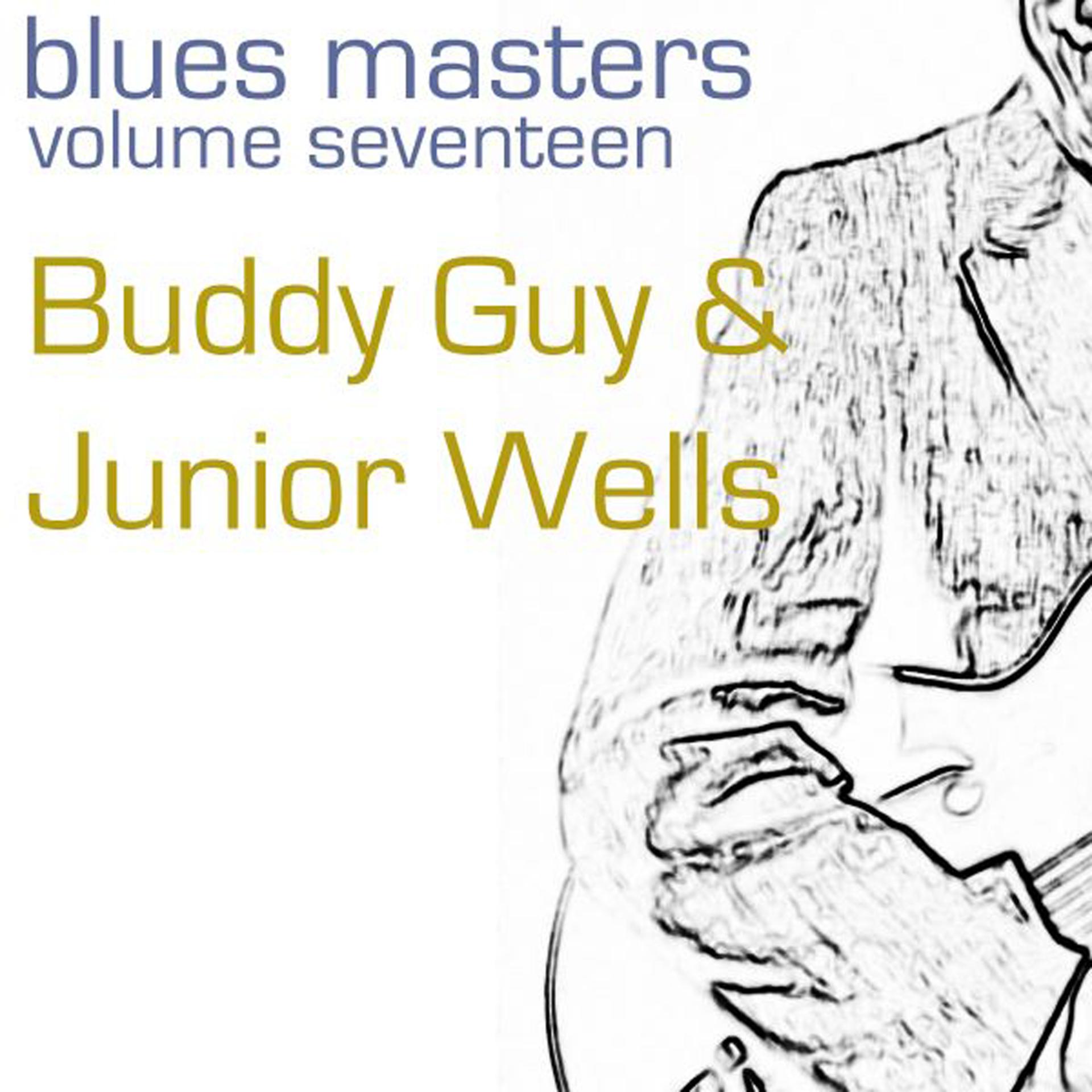 Постер альбома Blues Masters-Buddy Guy & Juinor Wells-Vol. 17