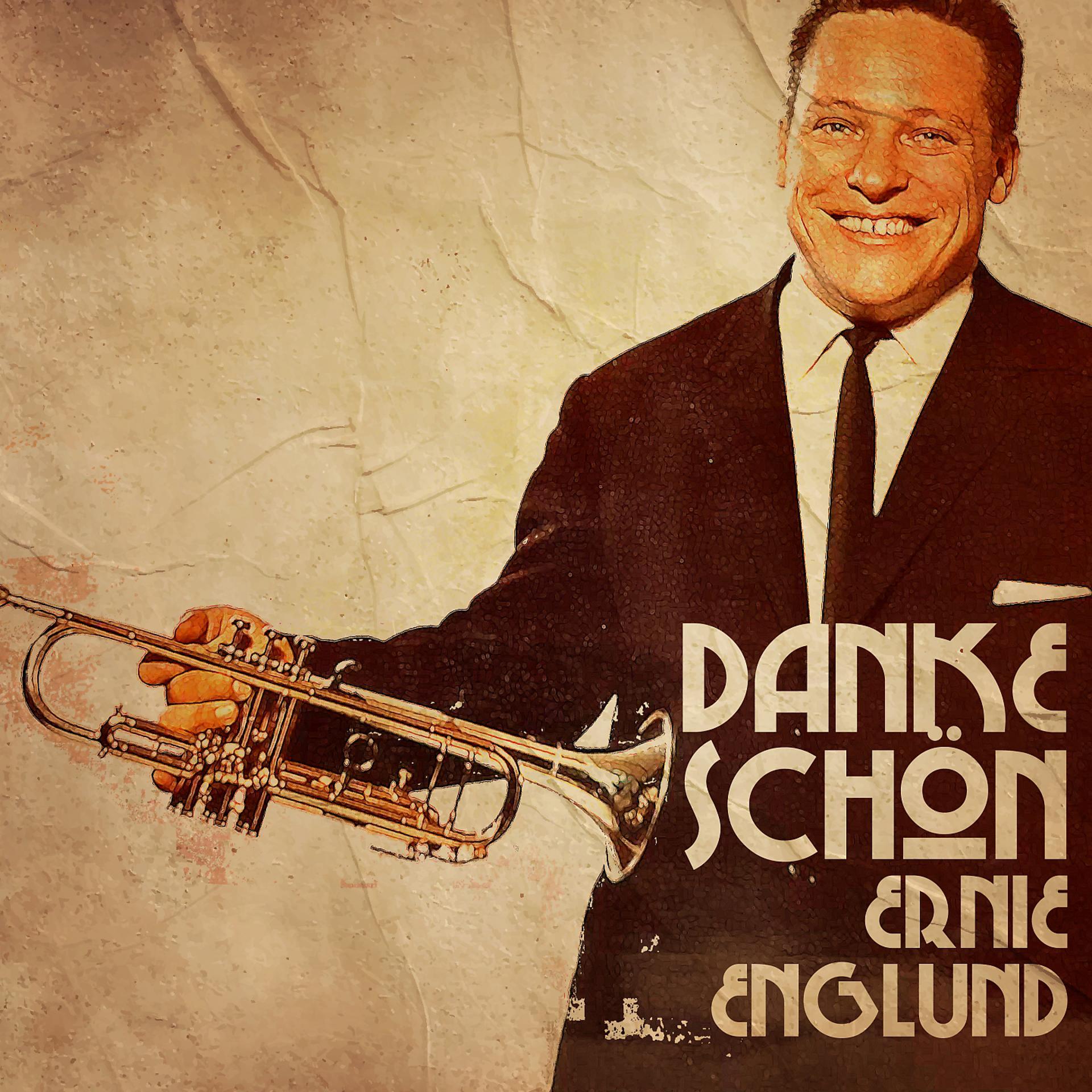 Постер альбома Danke Schön