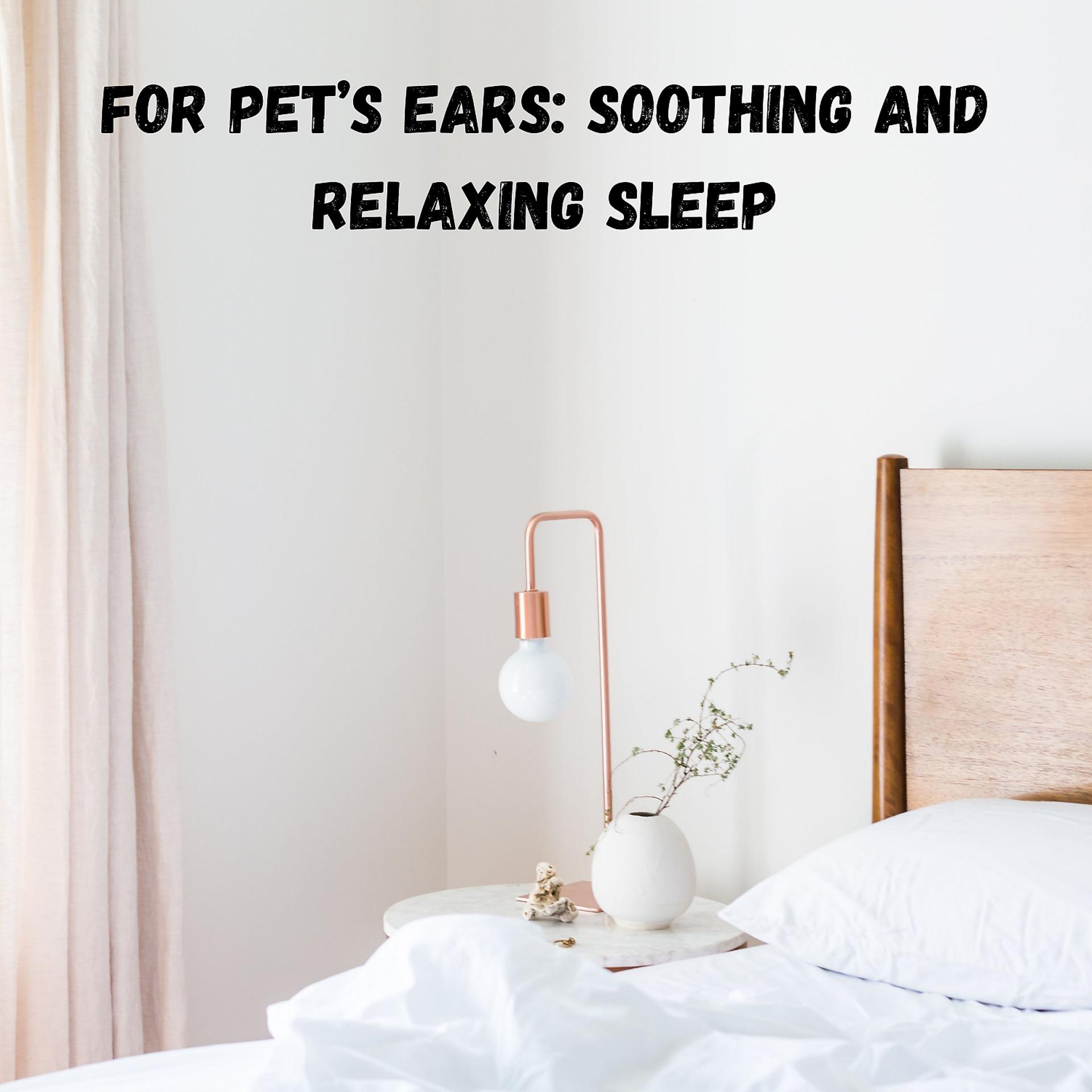 Постер альбома For Pet’s Ears: Soothing and Relaxing Sleep
