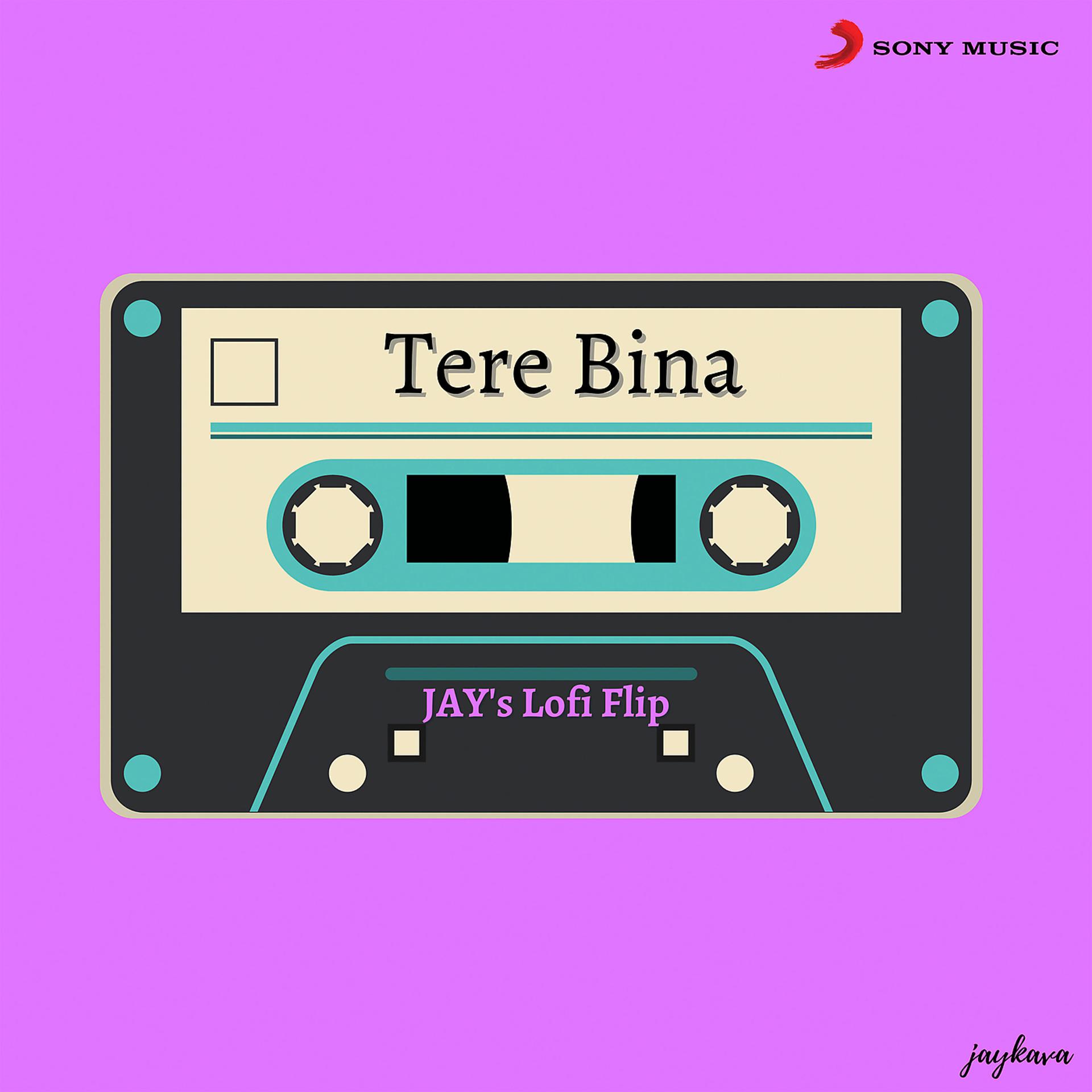 Постер альбома Tere Bina (Lofi Flip)