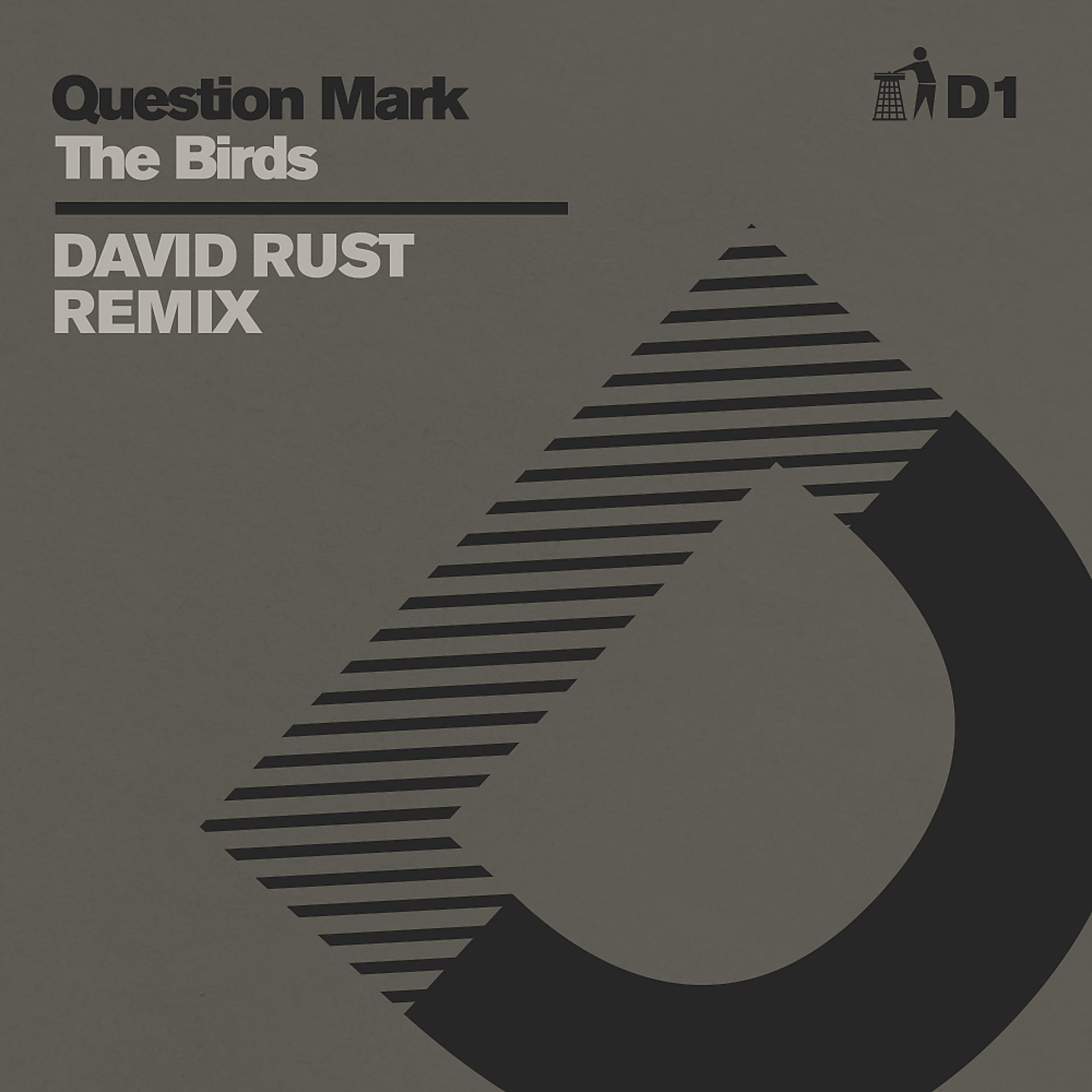 Постер альбома The Birds (David Rust Remix) - D1