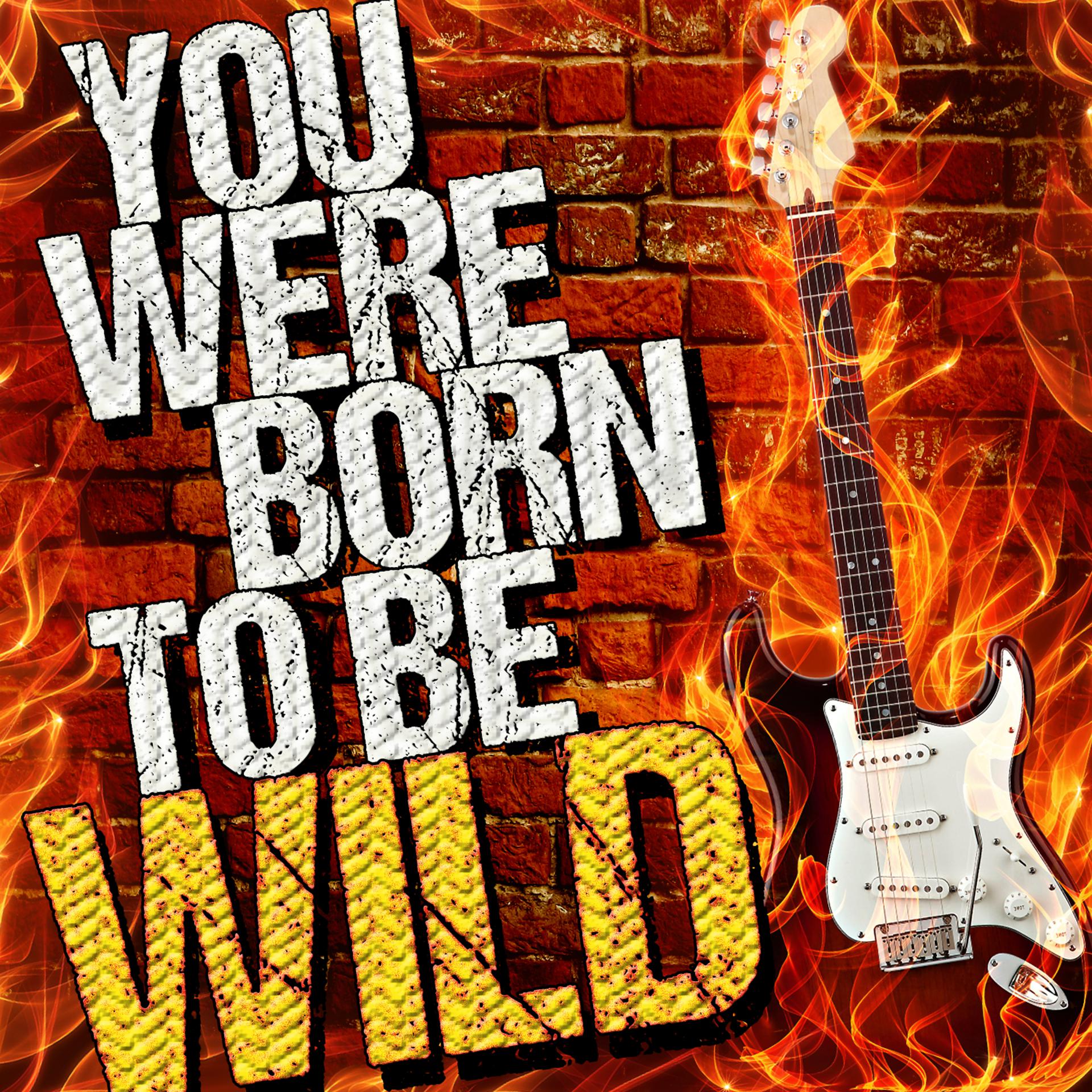 Постер альбома You Were Born to Be Wild!