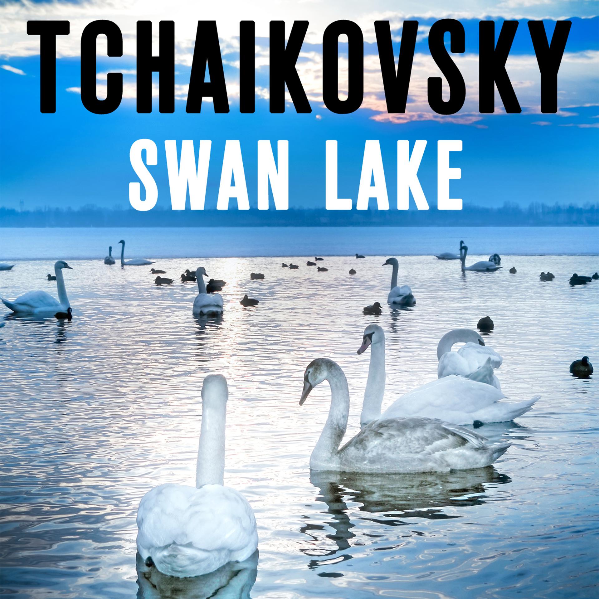 Постер альбома Tchaikovsky Swan Lake