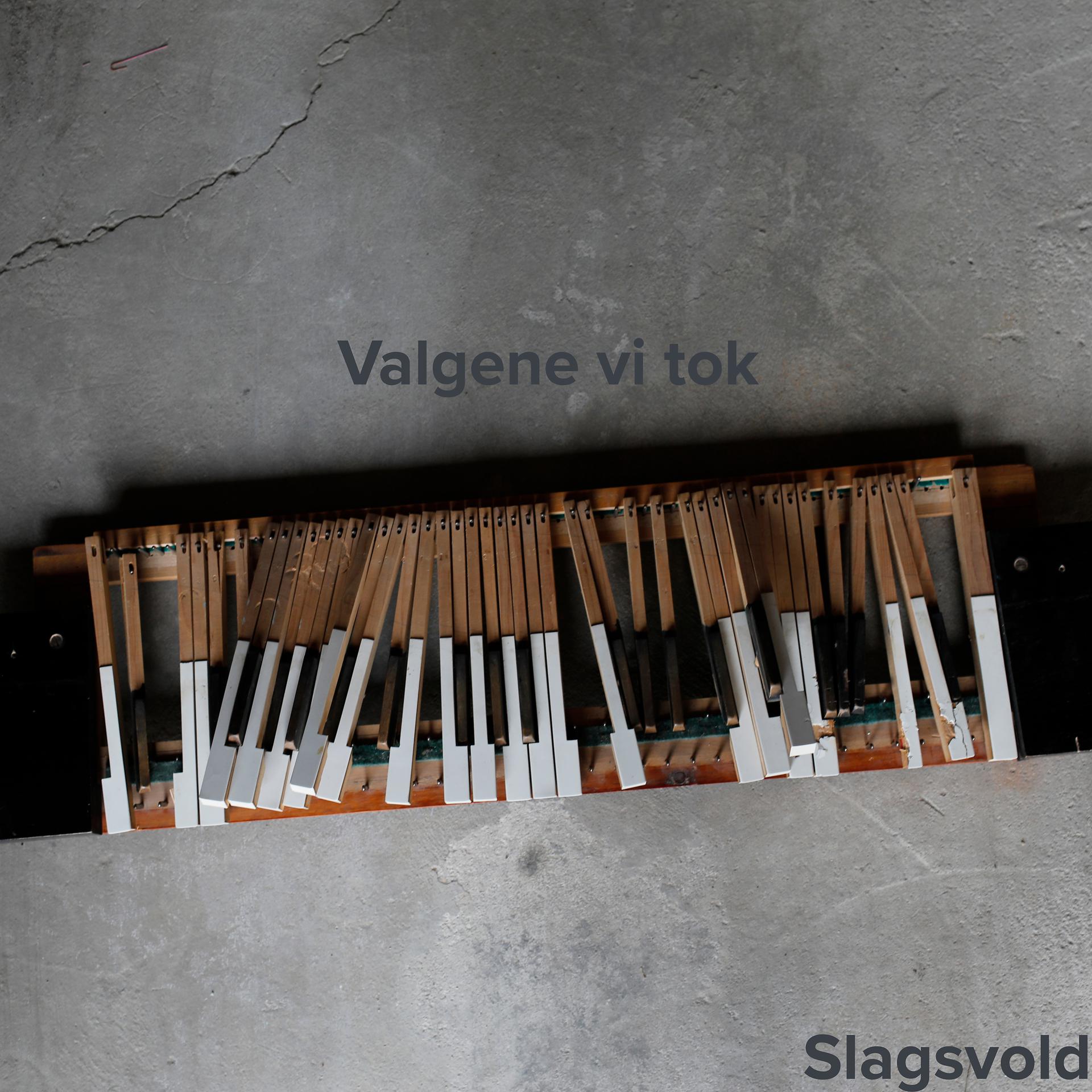 Постер альбома Valgene vi tok