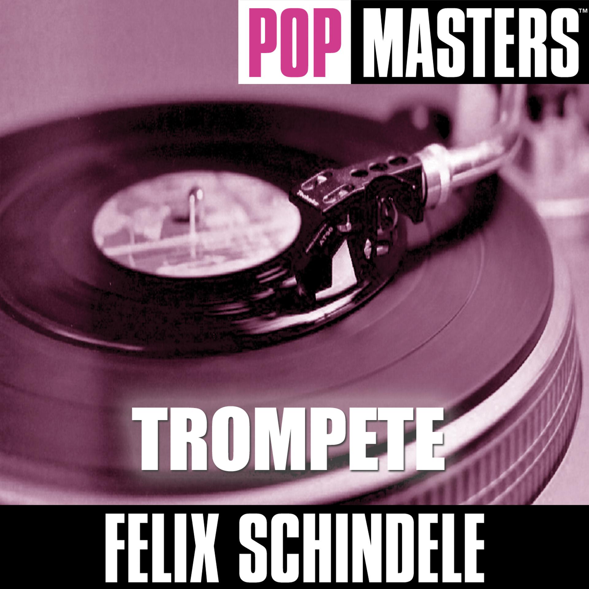 Постер альбома Pop Masters - Trompete