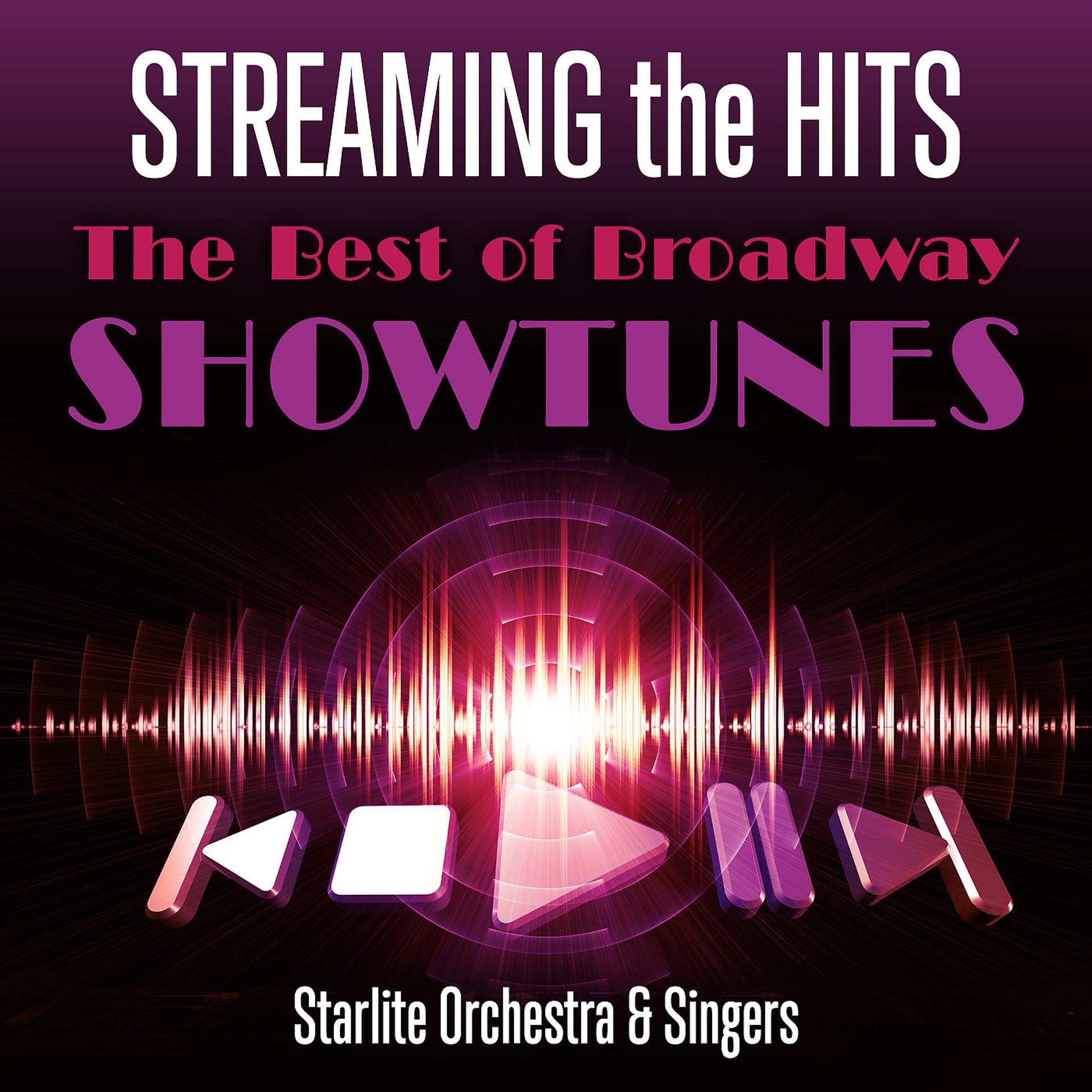 Постер альбома Streaming the Hits - The Best of Broadway Showtunes