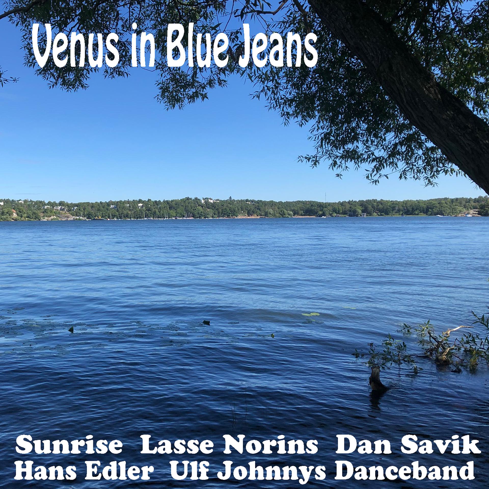 Постер альбома Venus in Blue Jeans