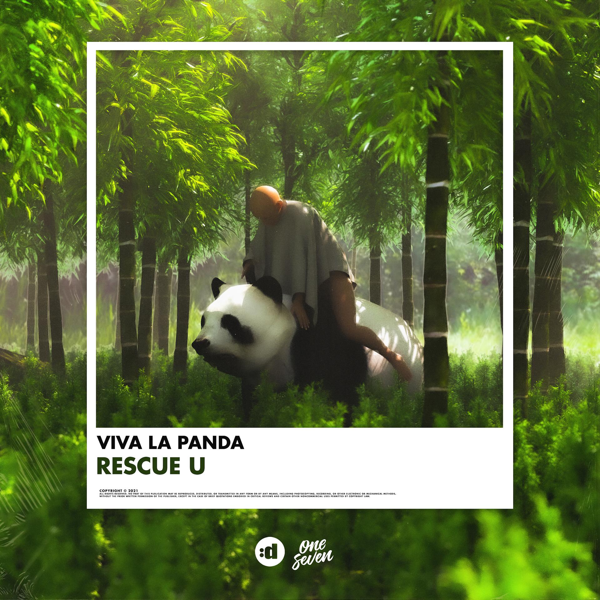 Постер альбома Rescue You