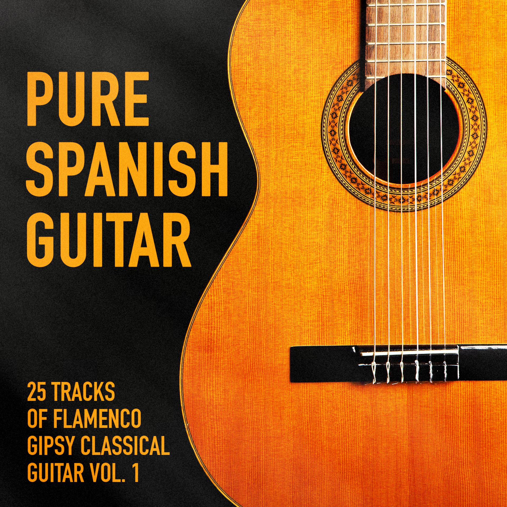 Постер альбома Pure Spanish Guitar, Vol. 1 (25 Tracks of Flamenco Gipsy Classical Guitar)