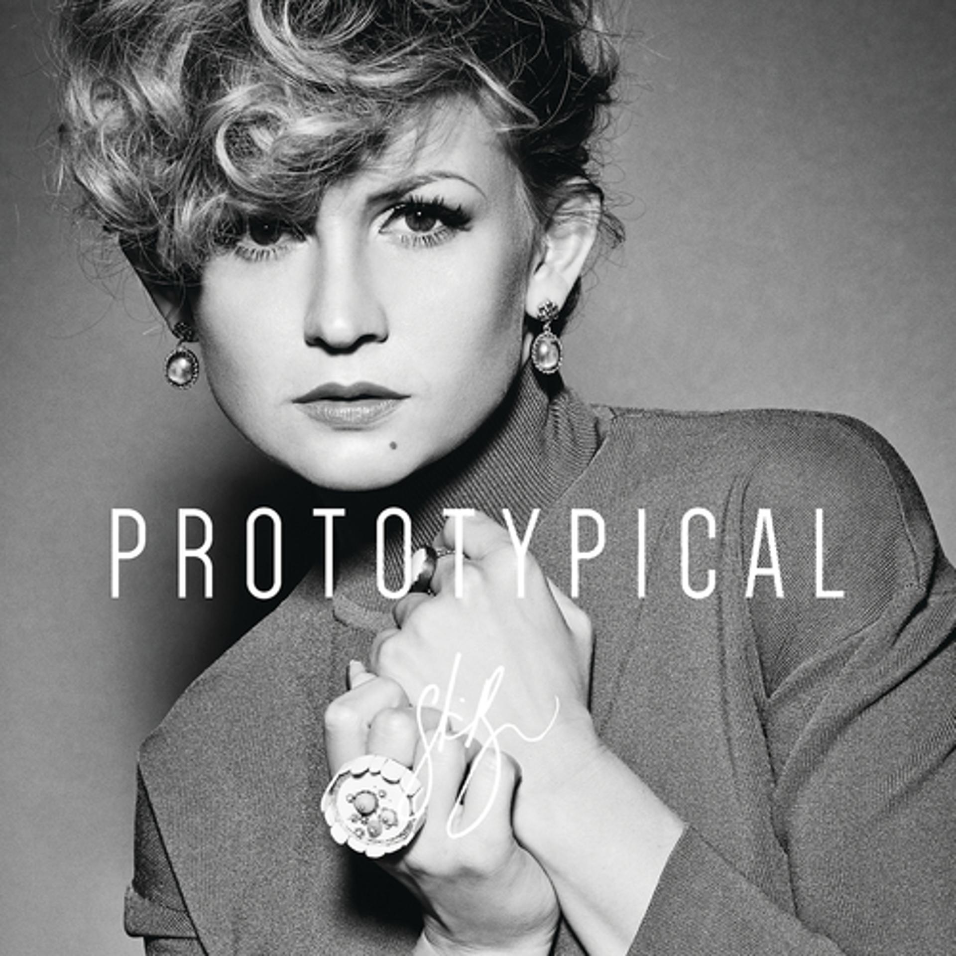 Постер альбома Prototypical