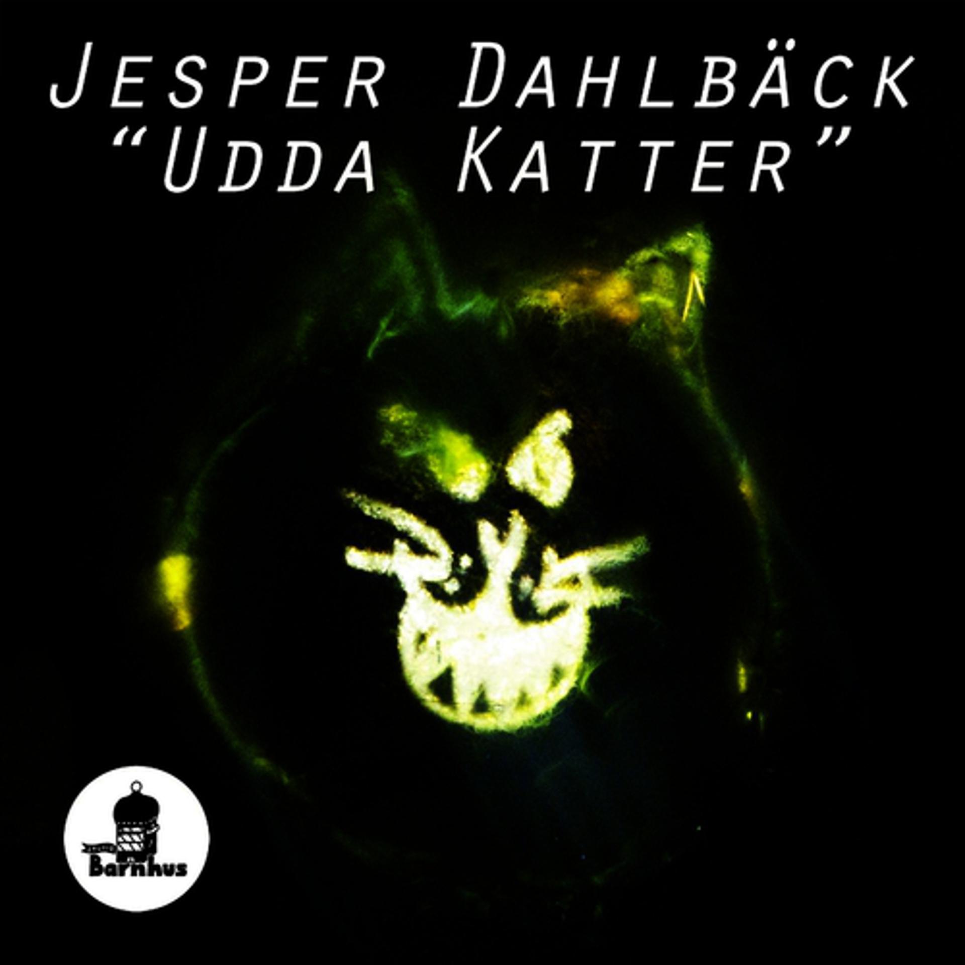 Постер альбома Udda Katter