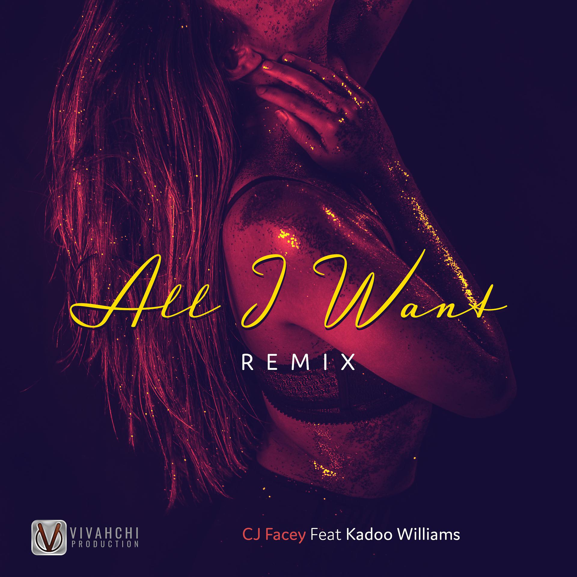Постер альбома All I Want (Remix)