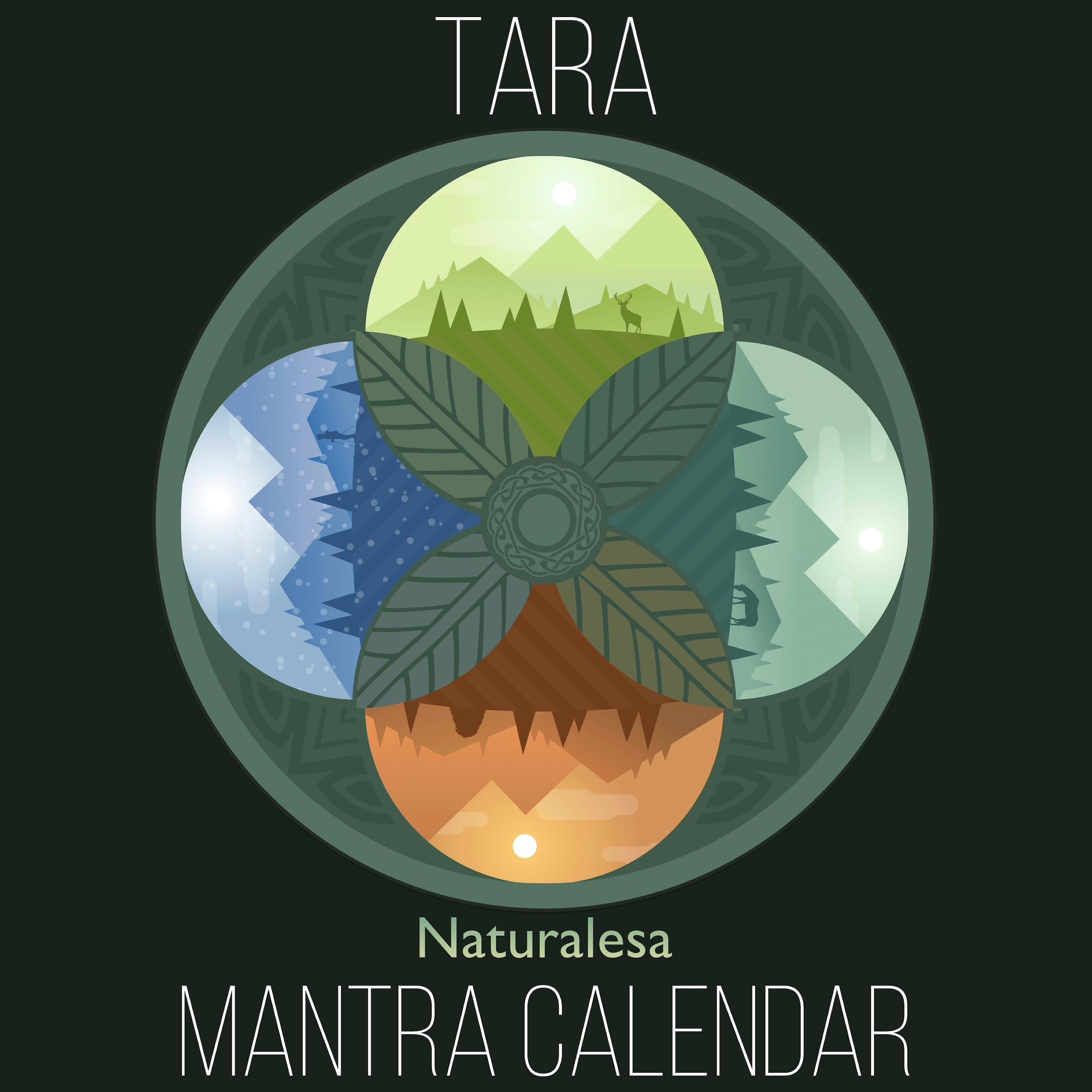Постер альбома Mantra Calendar / TARA