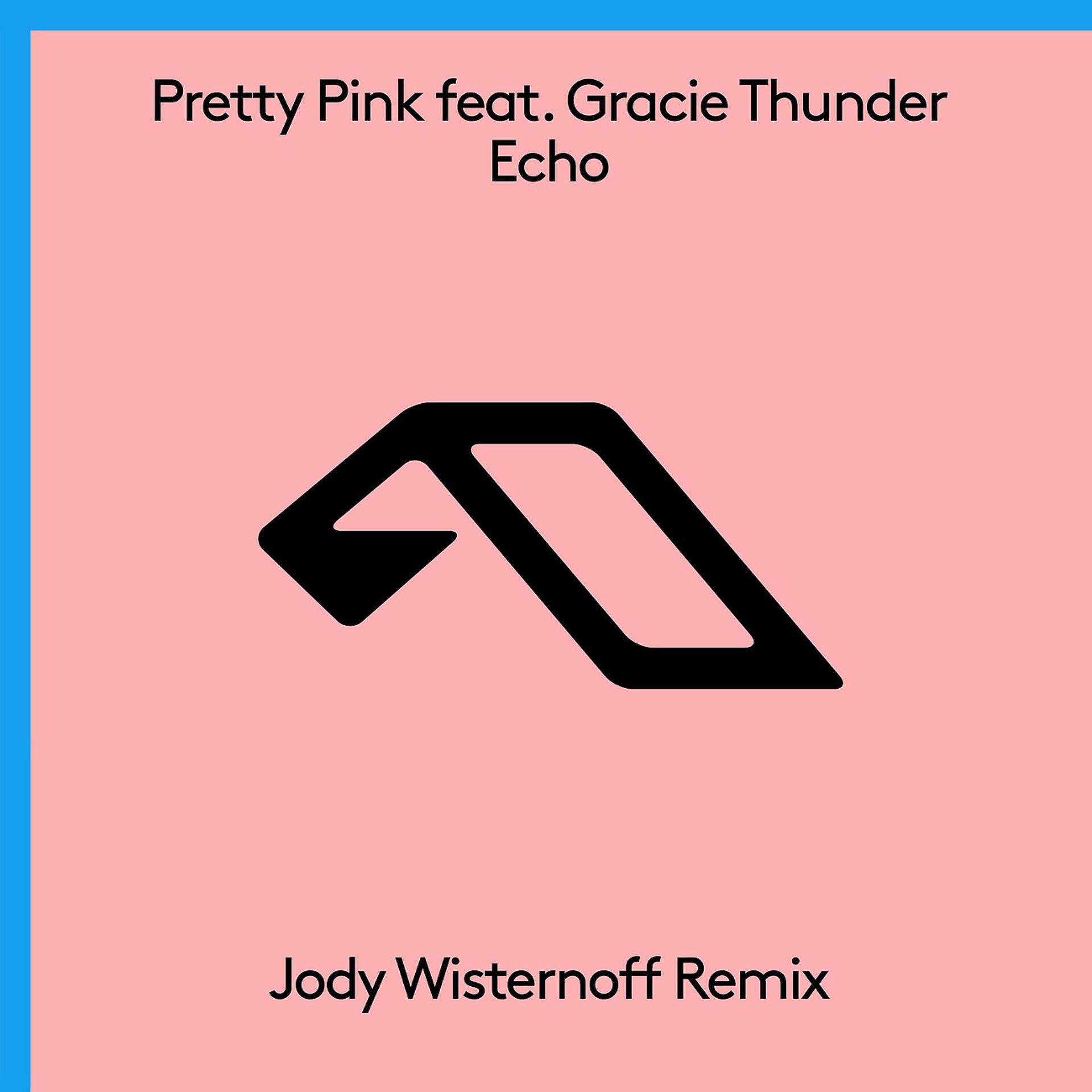 Постер альбома Echo (Jody Wisternoff Remix)