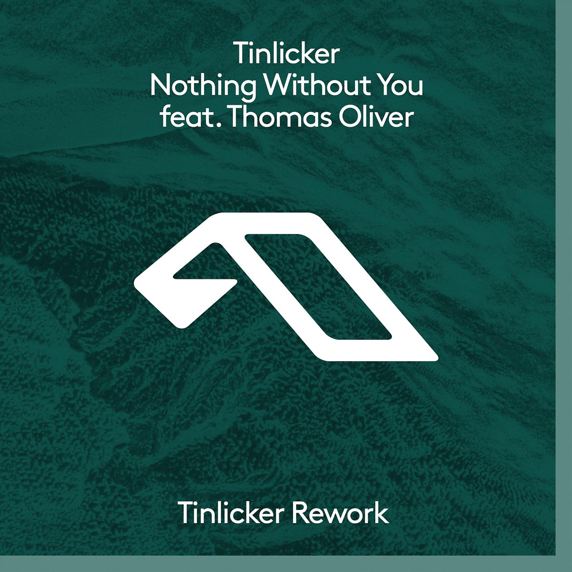 Постер альбома Nothing Without You (Tinlicker Rework)