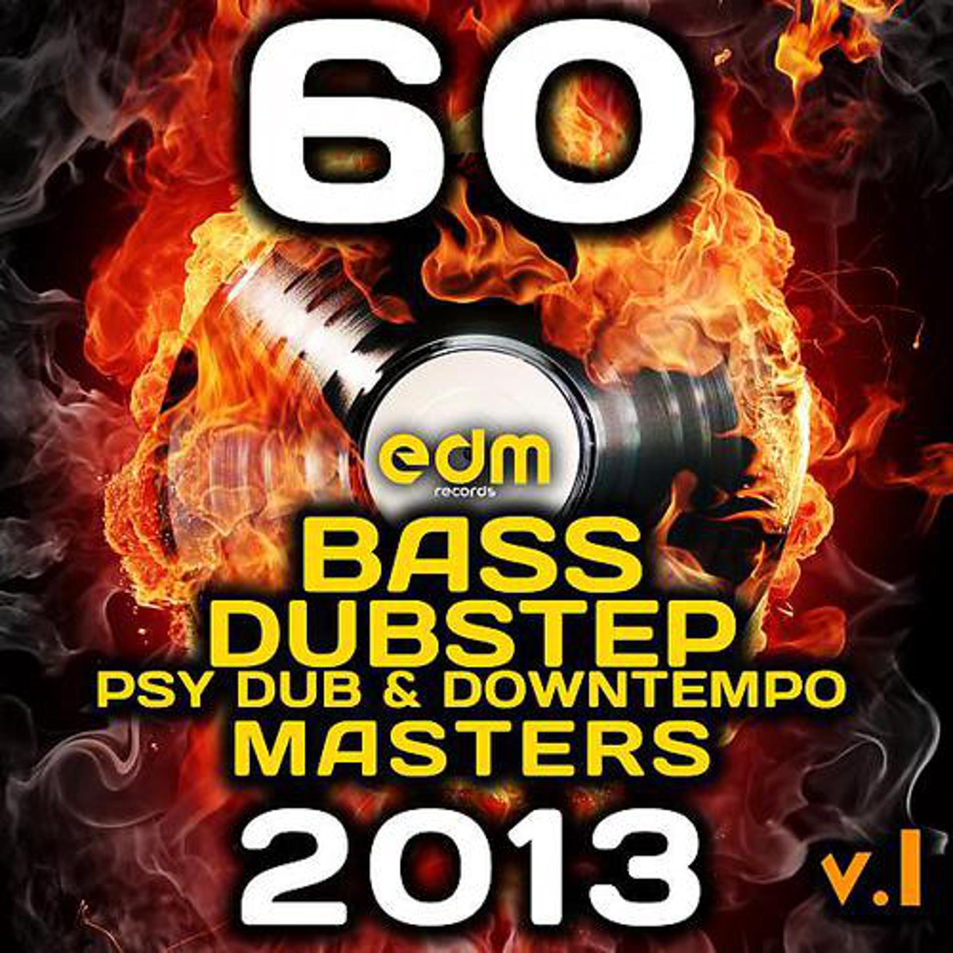 Постер альбома 60 Bass, Dubstep, Psy Dub & Down Techno Masters 2013, Vol. 1