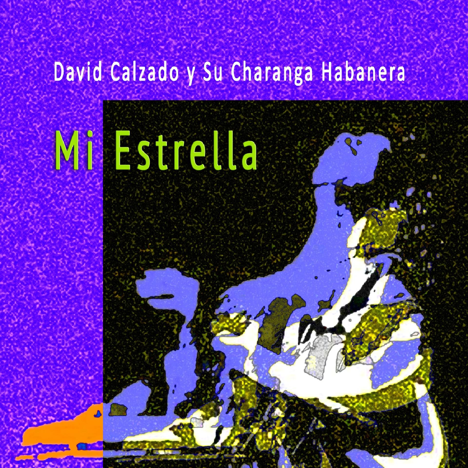 Постер альбома Mi Estrella