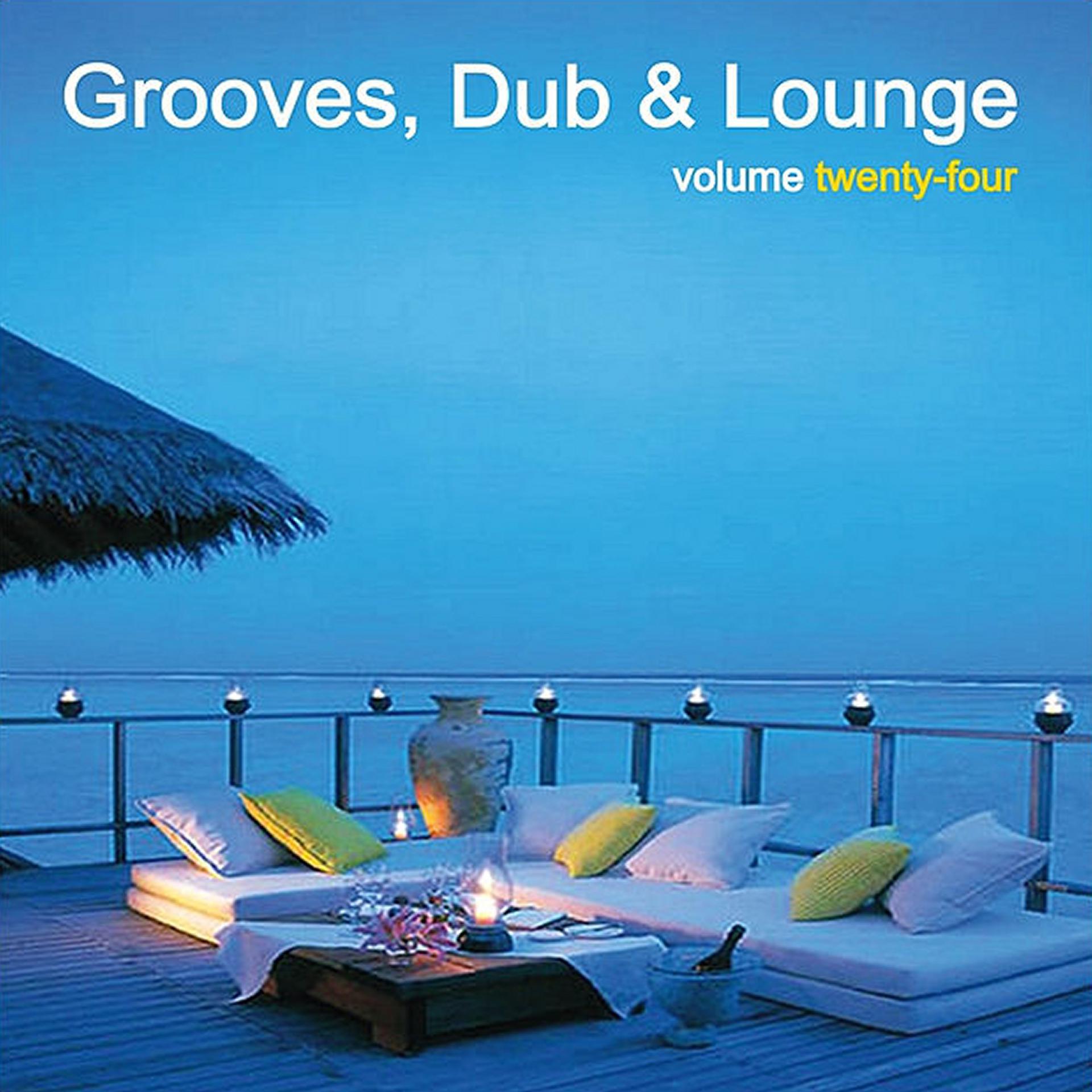 Постер альбома Grooves, Dub & Lounge Vol. 24