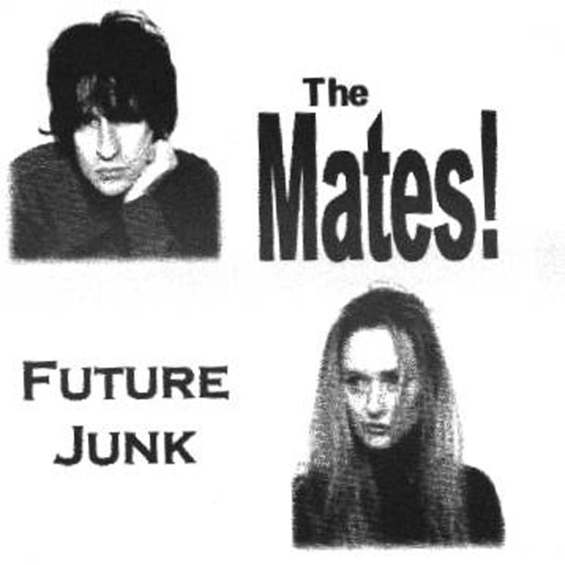 Постер альбома Future Junk