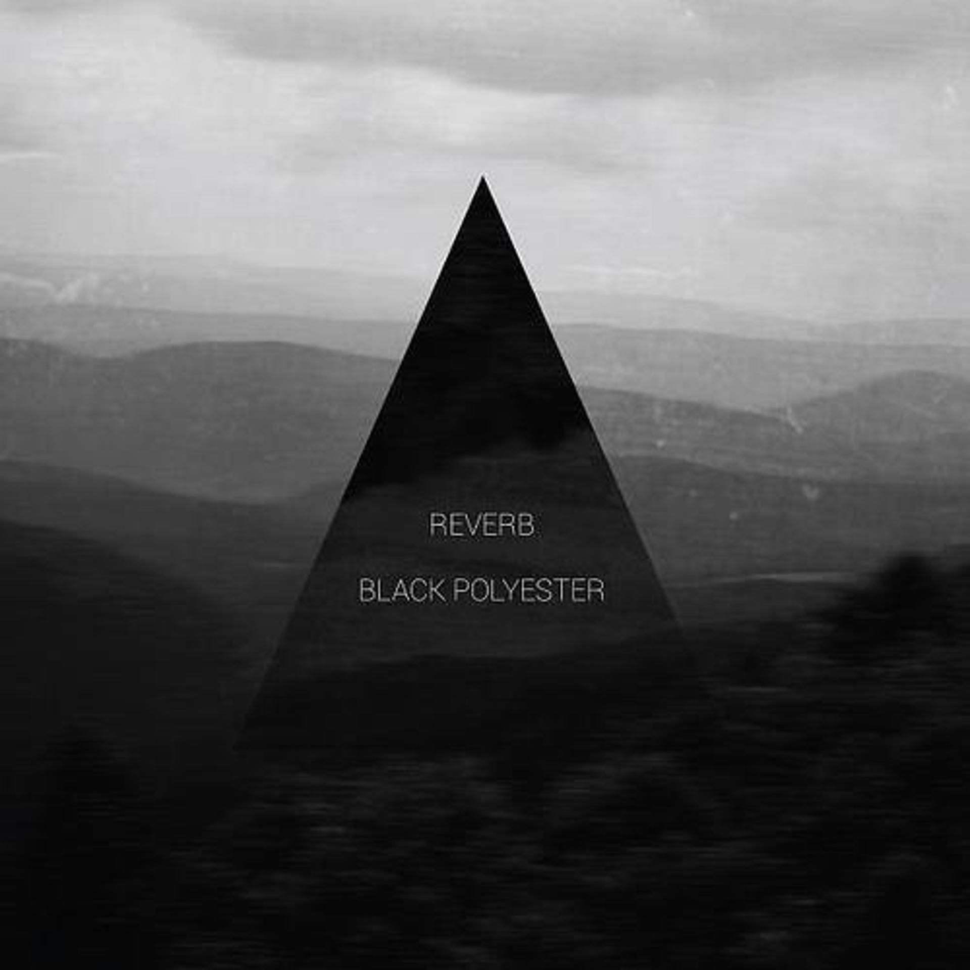 Постер альбома Black Polyester EP