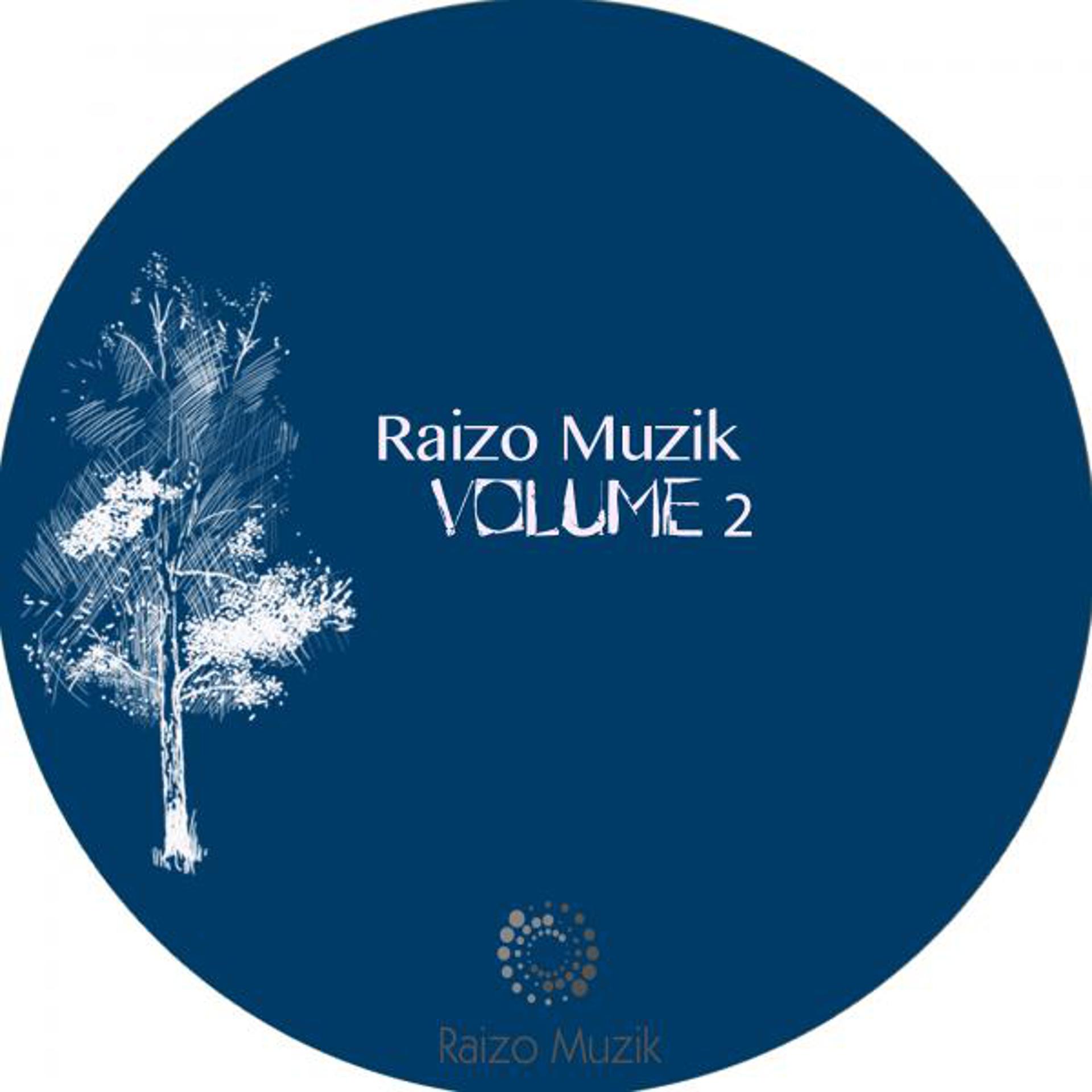 Постер альбома Raizo Muzik Vol 2