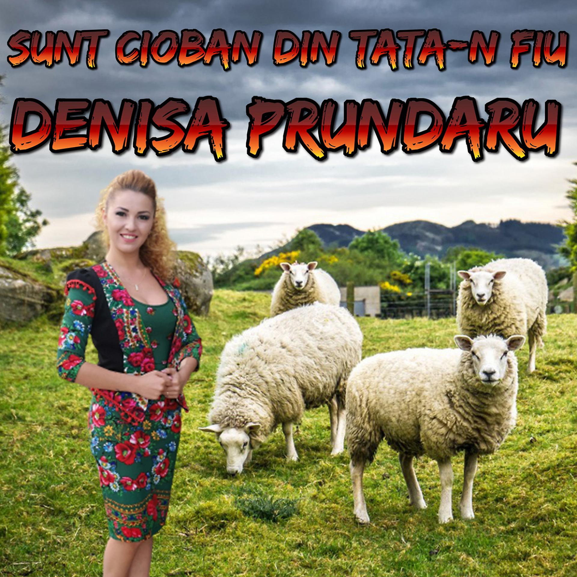 Постер альбома Sunt Cioban Din Tata-N Fiu