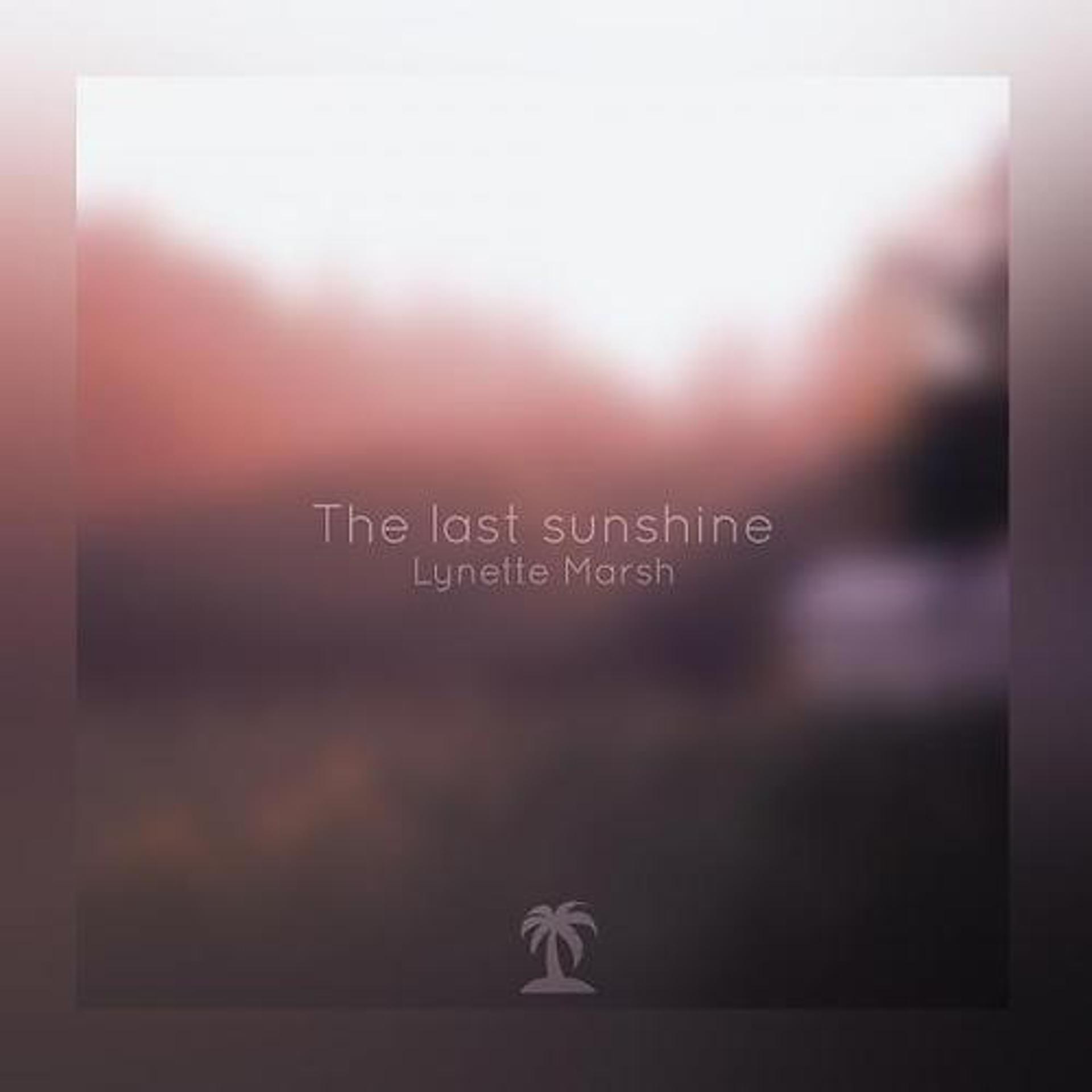 Постер альбома The Last Sunshine