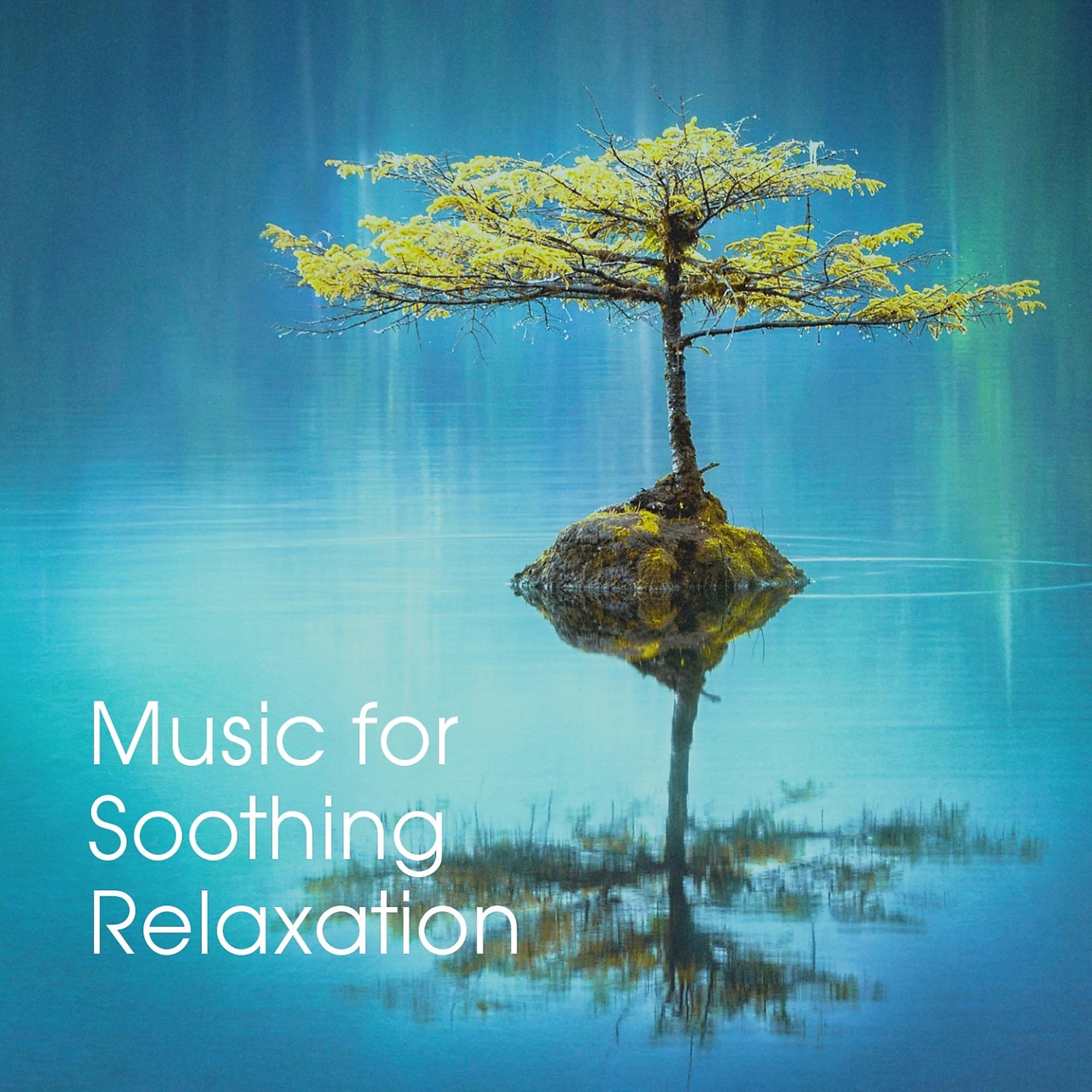 Постер альбома Music for Soothing Relaxation