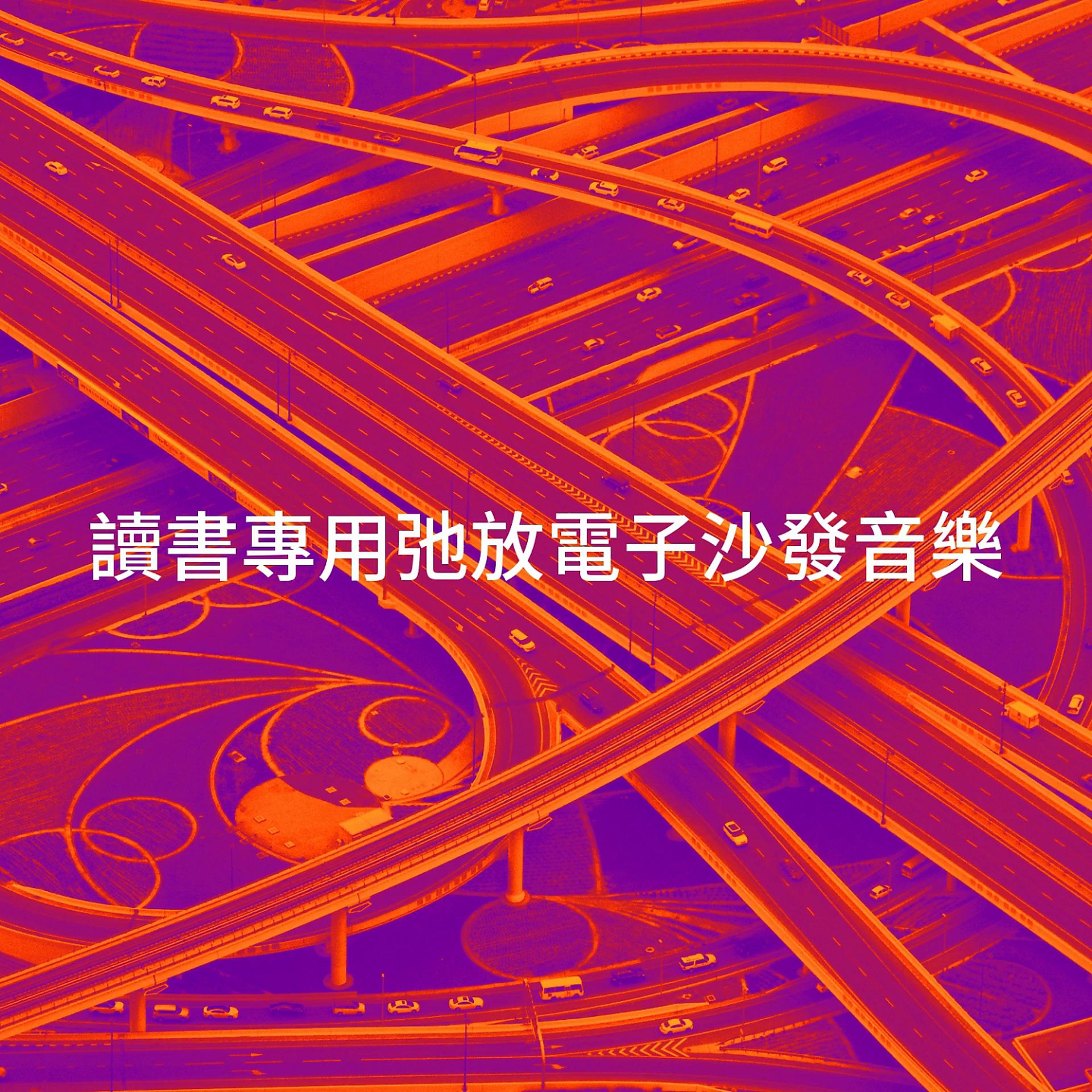 Постер альбома 讀書專用弛放電子沙發音樂