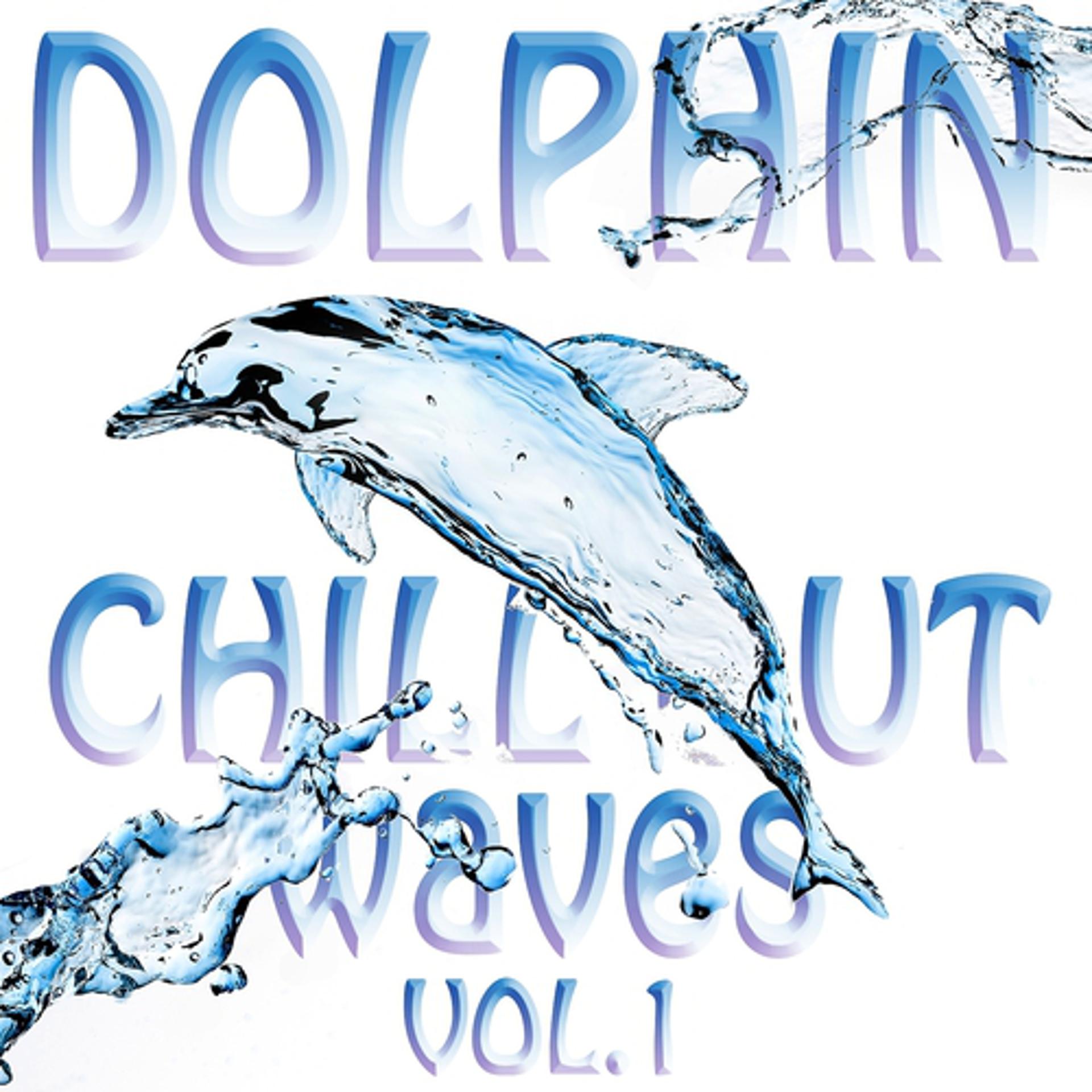 Постер альбома Dolphin Chill Out Waves, Vol.1