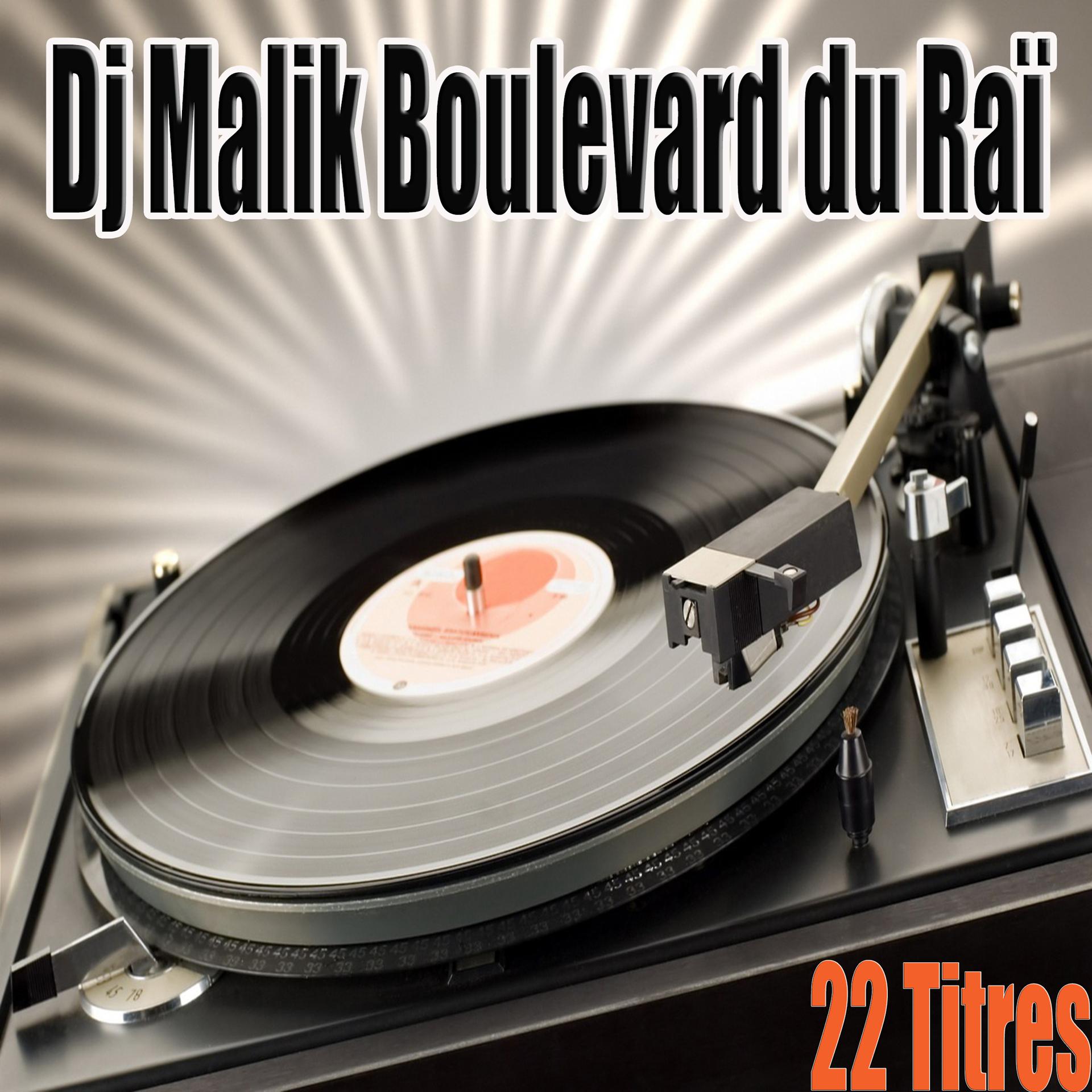 Постер альбома Boulevard du Raï, 22 titres